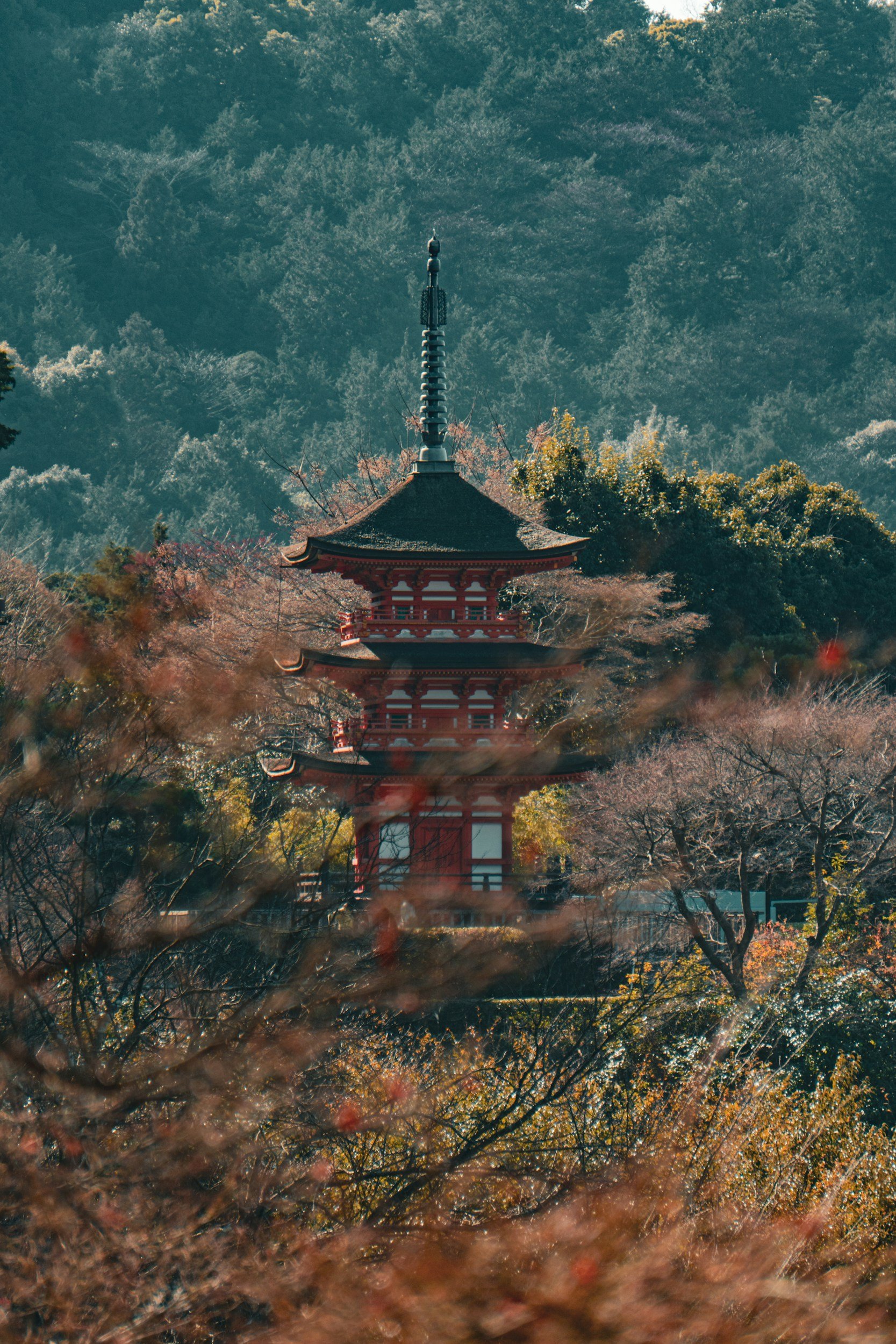 unsplash-image-G51rybU0kKE.jpg