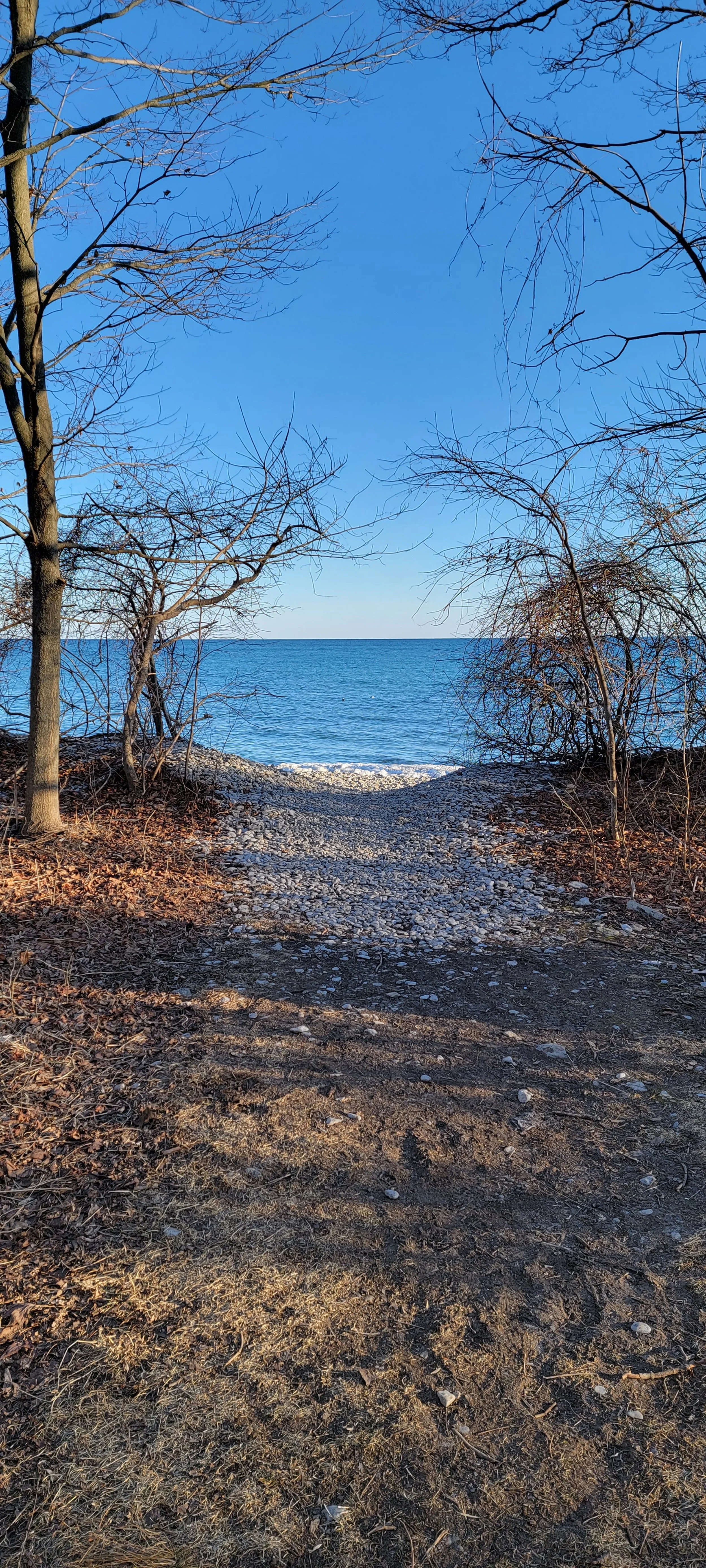 You must walk through the forest of your own limitations to reach the unfathomable vastness of your inner world.