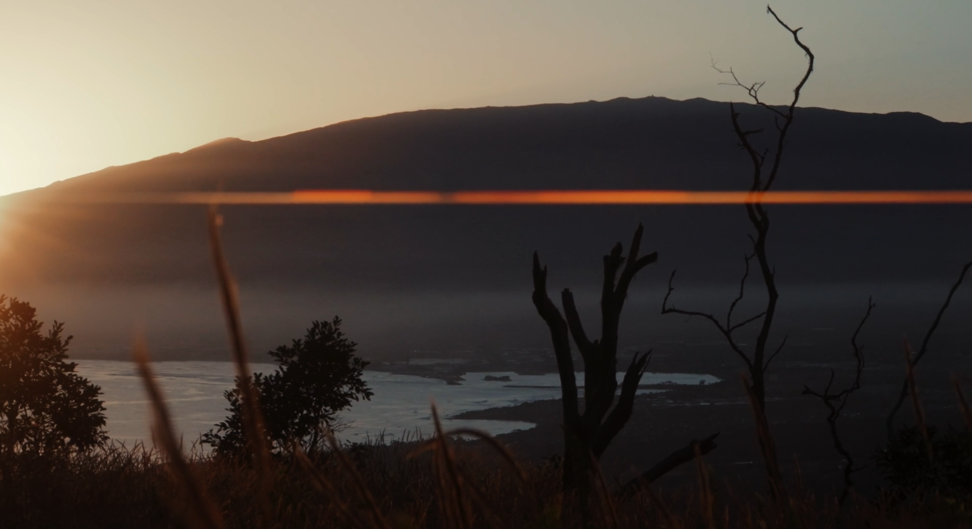 Sunset over a mountain with a layer of fog near a body of water, silhouette of leafless trees and dry grasses in the foreground.