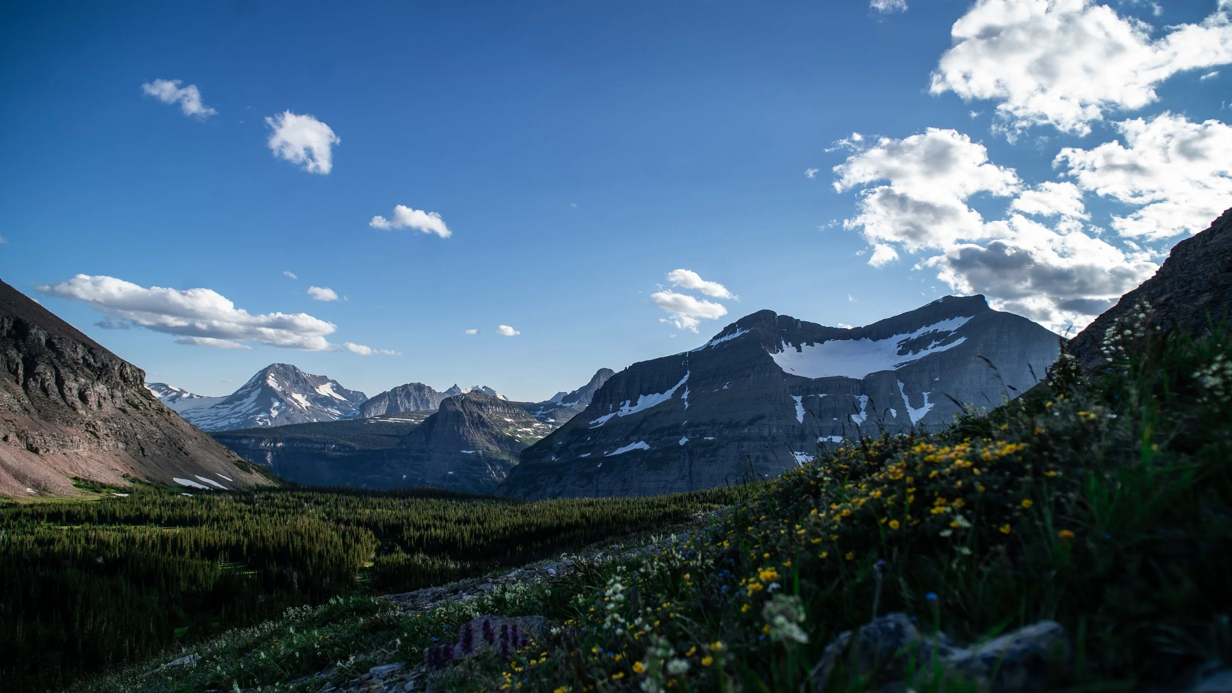 Mountain landscape with snow-capped peaks, green forested valley, and blue sky with scattered clouds.
