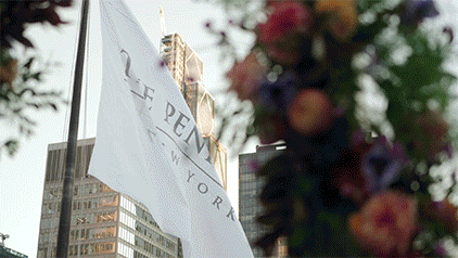 Flag with text and city buildings in the background, blurred flowers on the right.