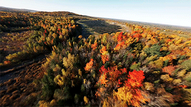 Aerial view of a forest with fall foliage in shades of red, orange, yellow, and green on rolling hills.