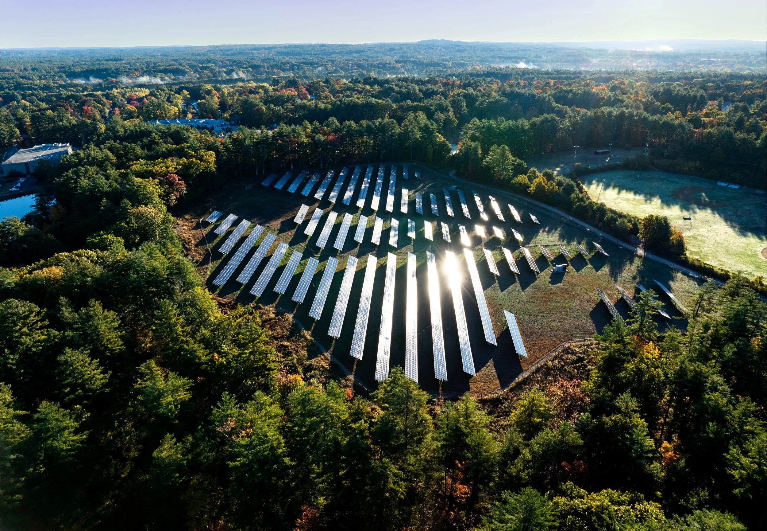 Aerial view of a large solar panel farm surrounded by trees in a rural area during daytime with a clear sky.
