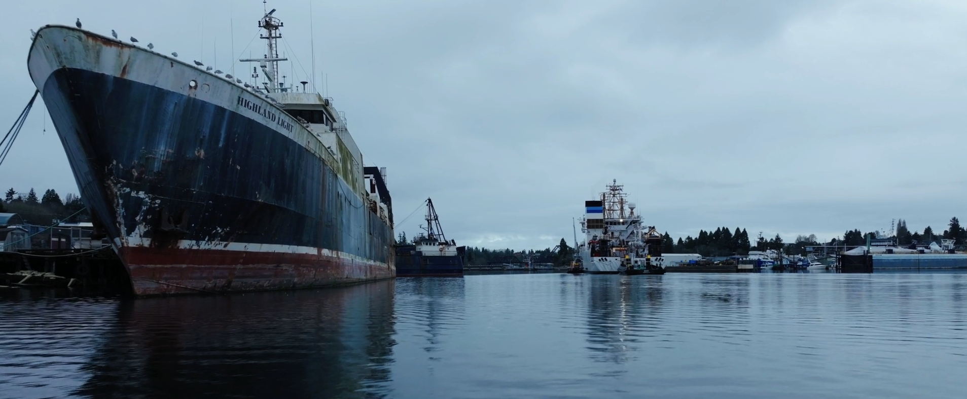 Several large ships docked at a harbor on a cloudy day, with calm water reflecting the vessels, and trees in the background.
