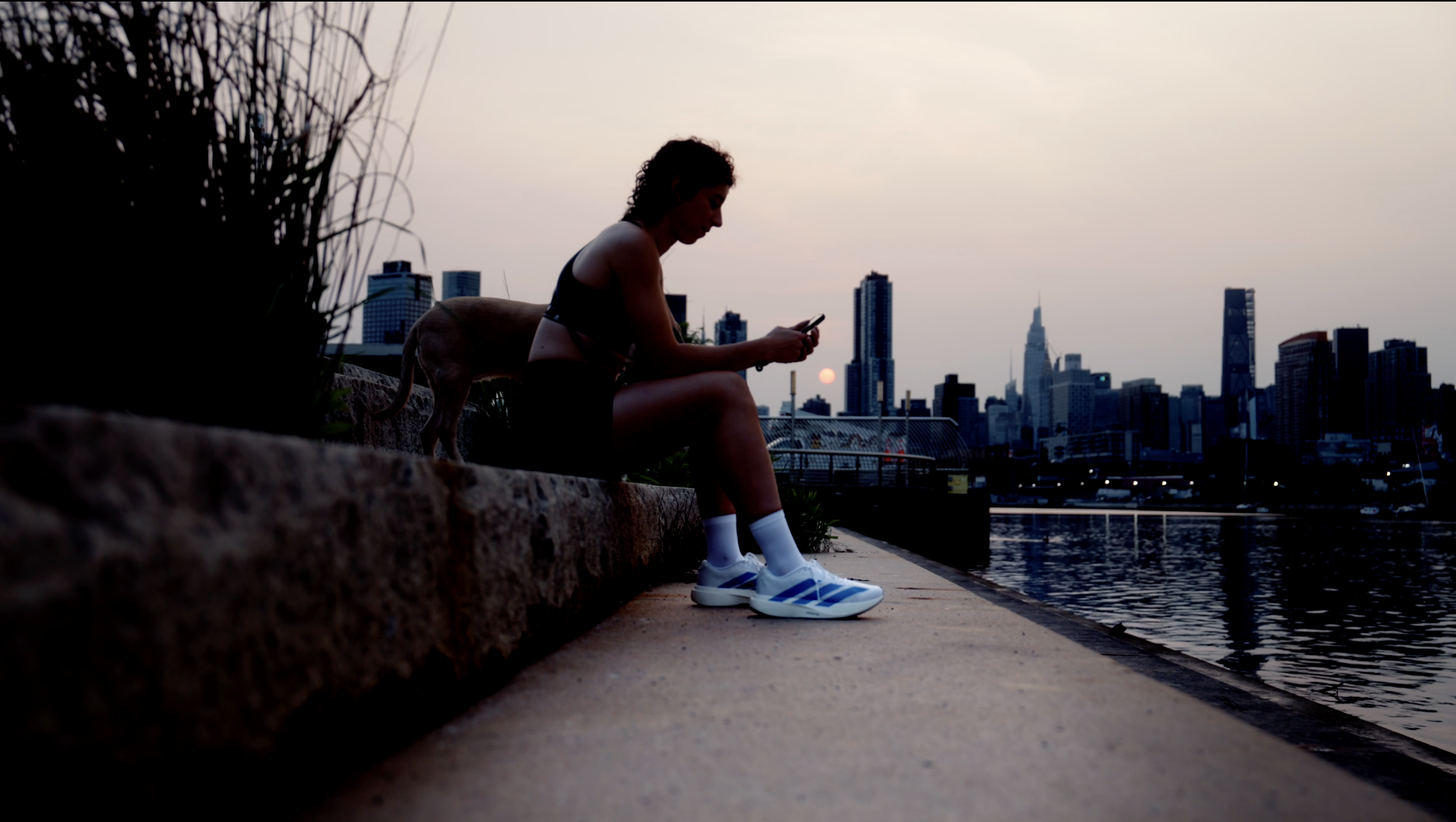 A woman and a small dog sitting on a low wall along a waterfront at sunset, with a city skyline in the background.