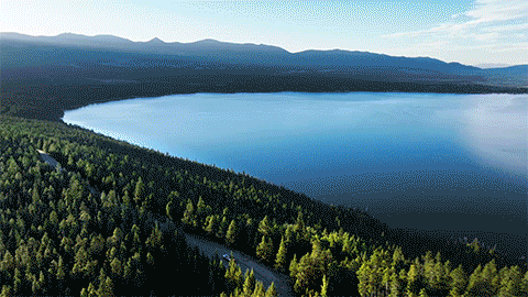 A large freshwater lake surrounded by dense green forest and mountains in the background under a clear blue sky.