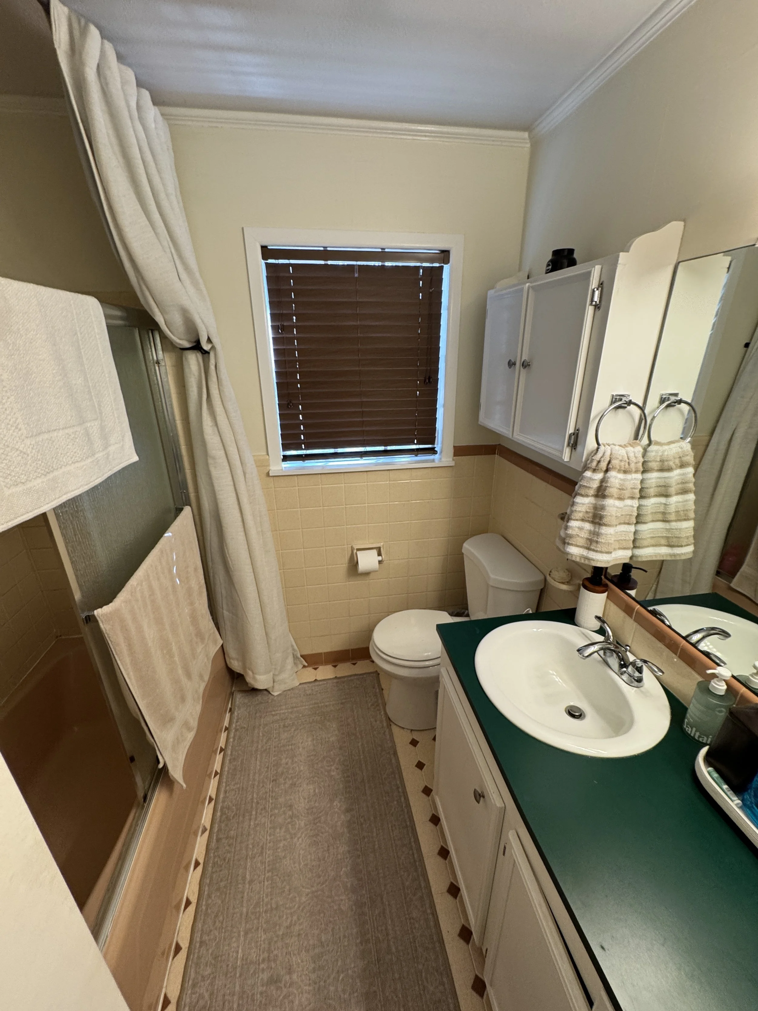 bathroom replacement