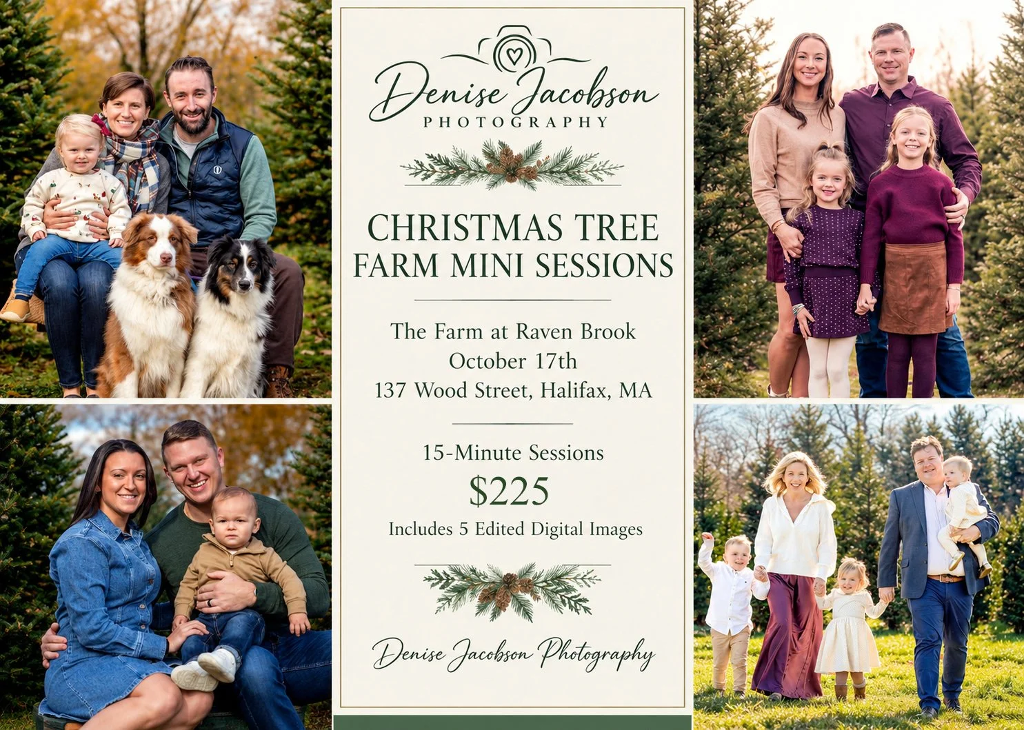 Christmas Tree Farm Mini