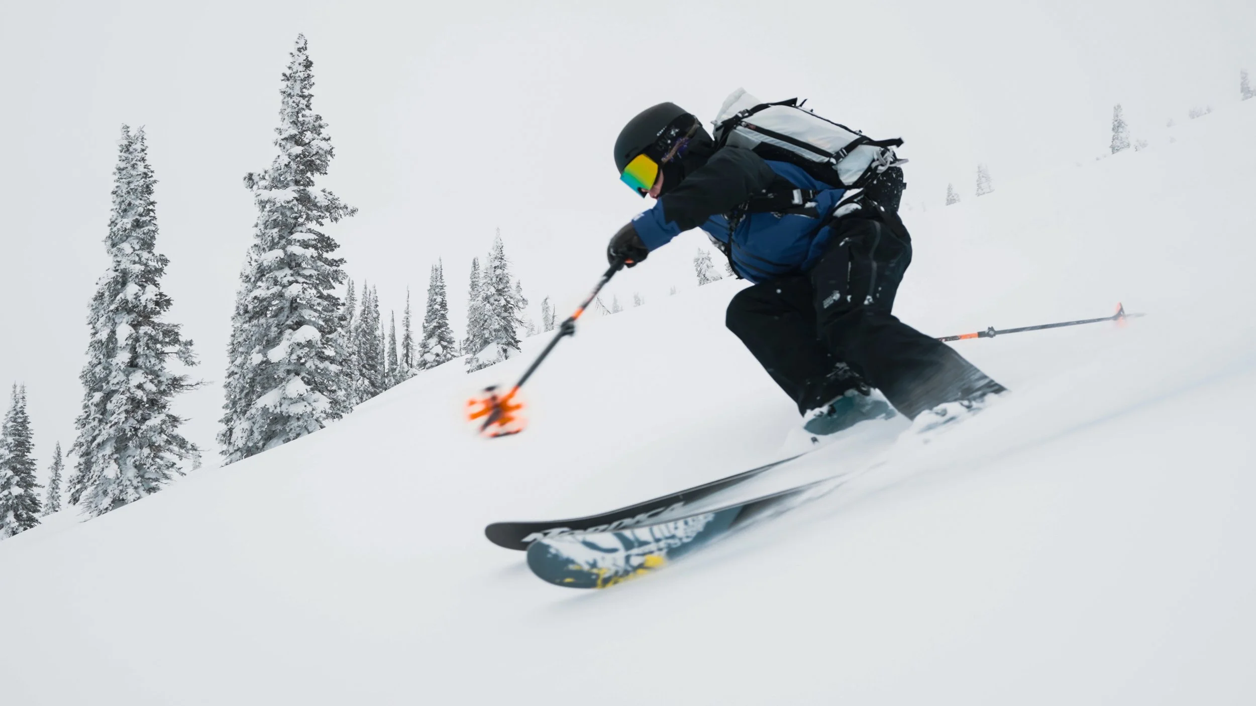 Erin Spong_Consonance_Film Frame 2024.jpg