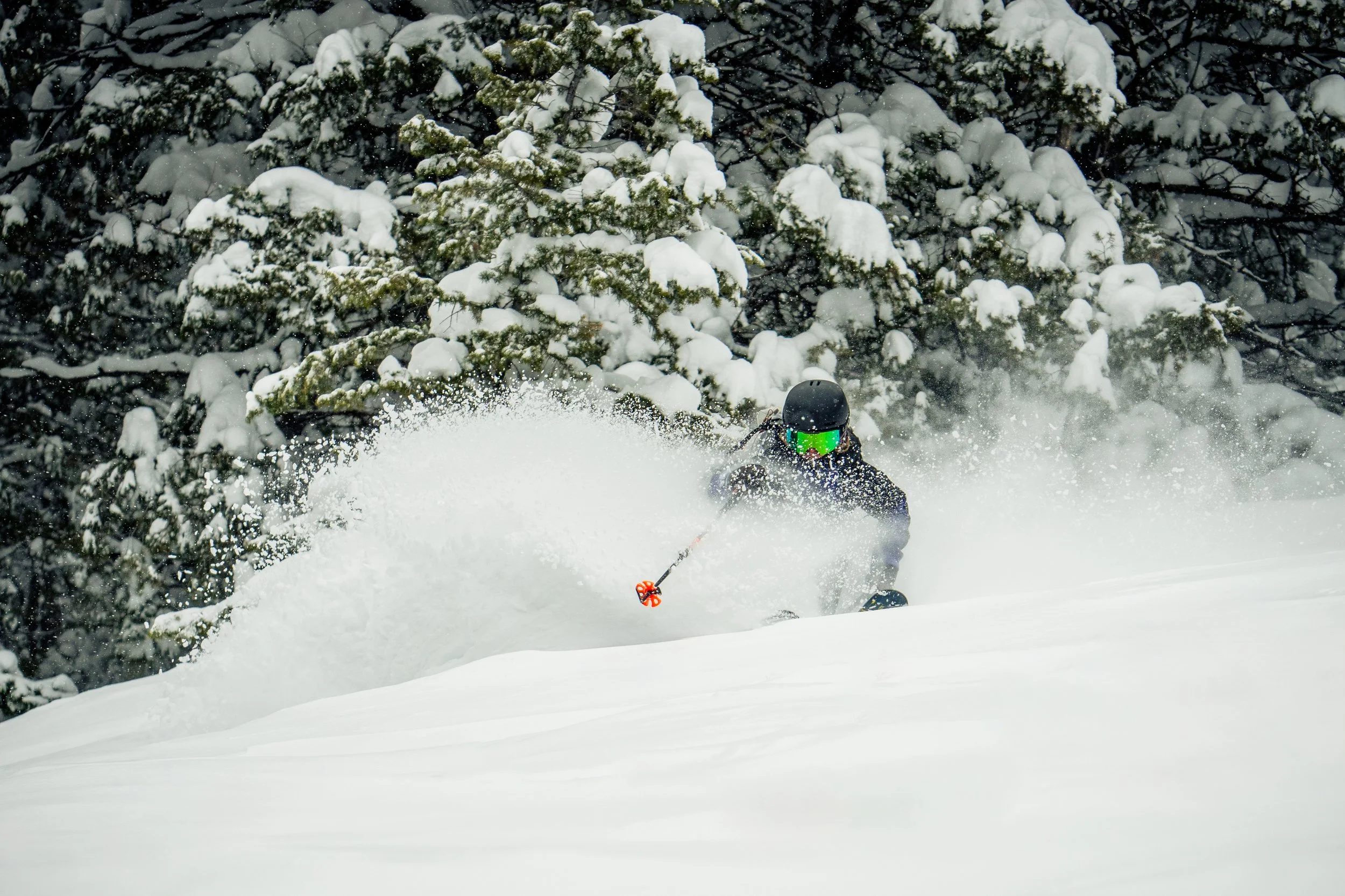 Erin Spong_Consonance_Credit - Sara Beam Robbins 2024-2.jpg