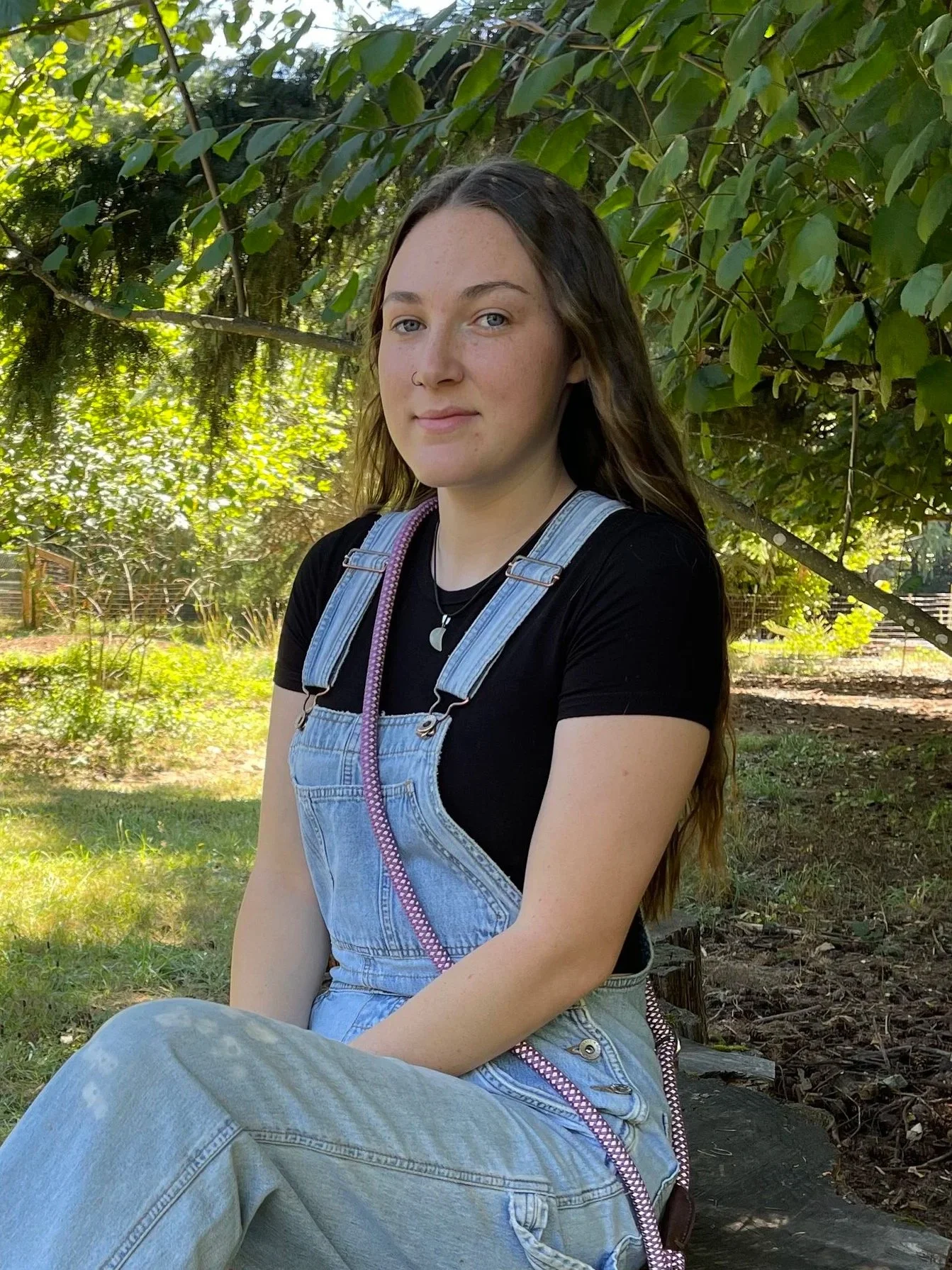 A young woman with long brown hair sitting on a large tree stump outdoors, surrounded by green trees and grass during daytime. She is wearing a black t-shirt, light blue denim overalls, and black Converse sneakers with white laces.