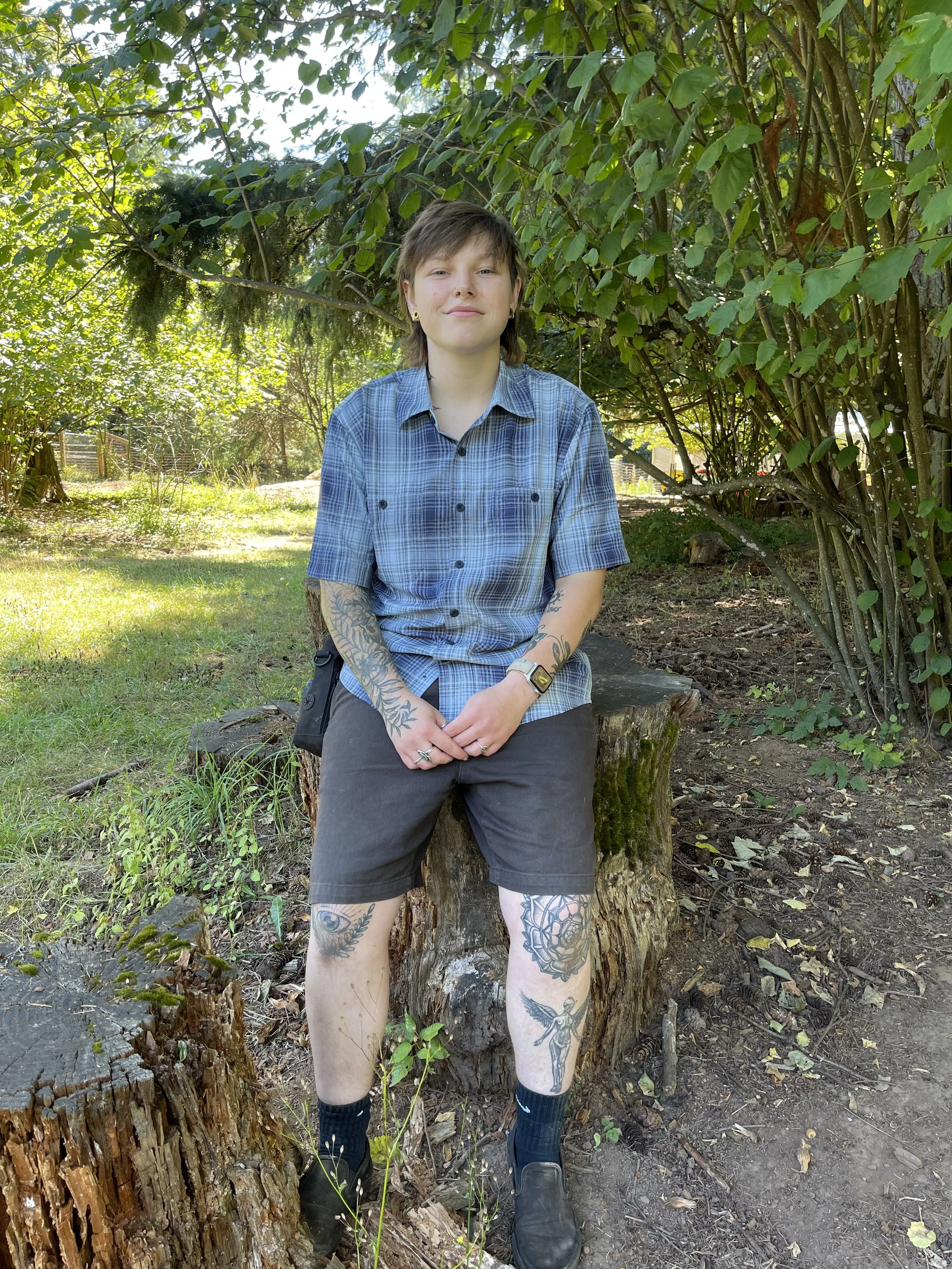 A young person with short brown hair, tattoos on arms and legs, wearing a blue plaid shirt, shorts, and black boots, sitting on a tree stump in a lush green outdoor setting.