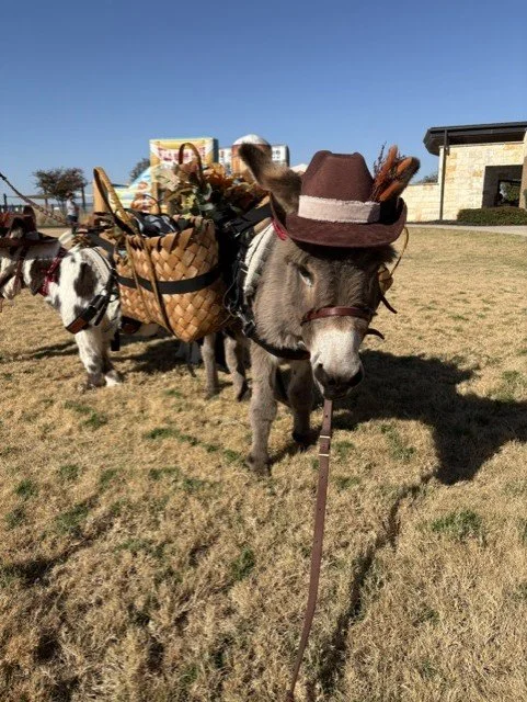 Sarah Connor (Penny Lane in the background)