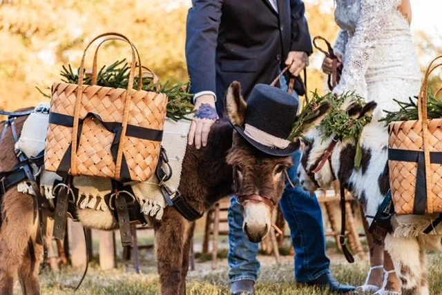 John Wick and Penny Lane