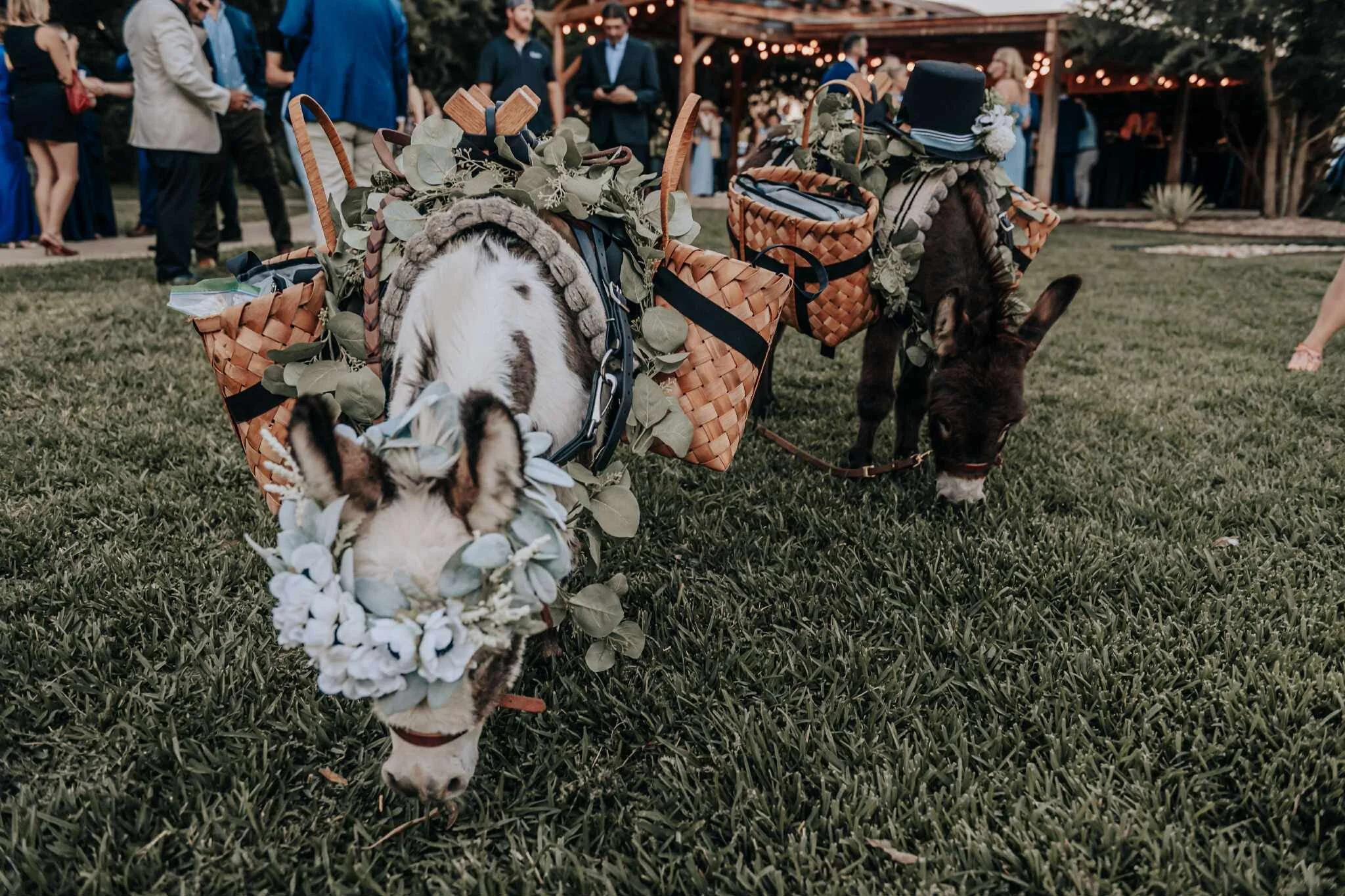 Penny Lane and John Wick