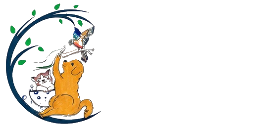 Pick Me Groomer