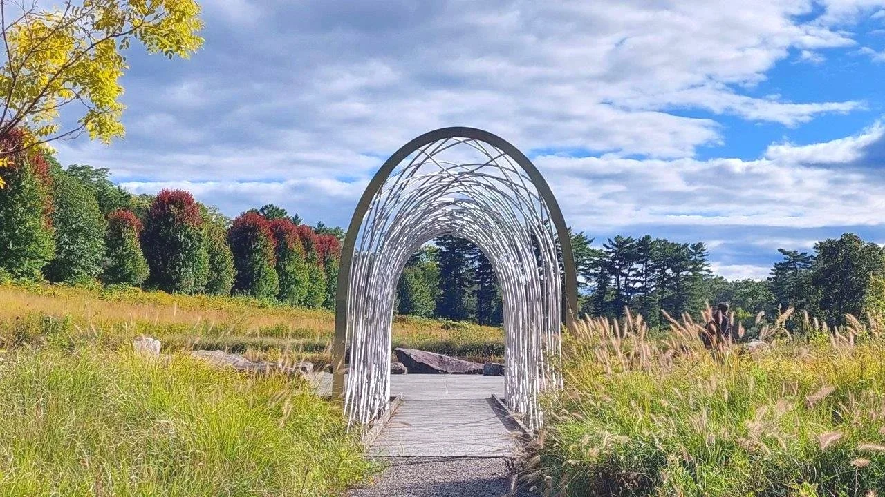 A metal archway pergola over a wooden pathway in a park, surrounded by tall grasses and trees with colorful foliage, under a partly cloudy sky.