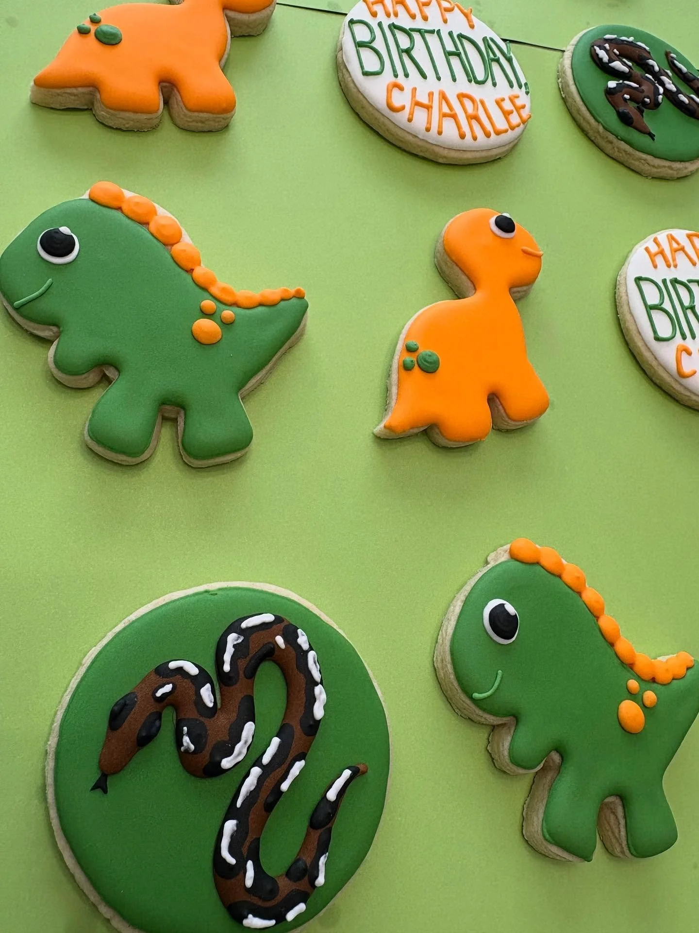 Snakes and dinosaurs are cuter in cookie form 🐍🦖🦕

#kendrascookiesmn #royalicingcookies #mnbaker