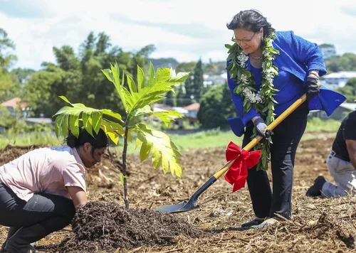 Hirono, Tokuda visit Food Basket ag campus, stress need for sustainable food