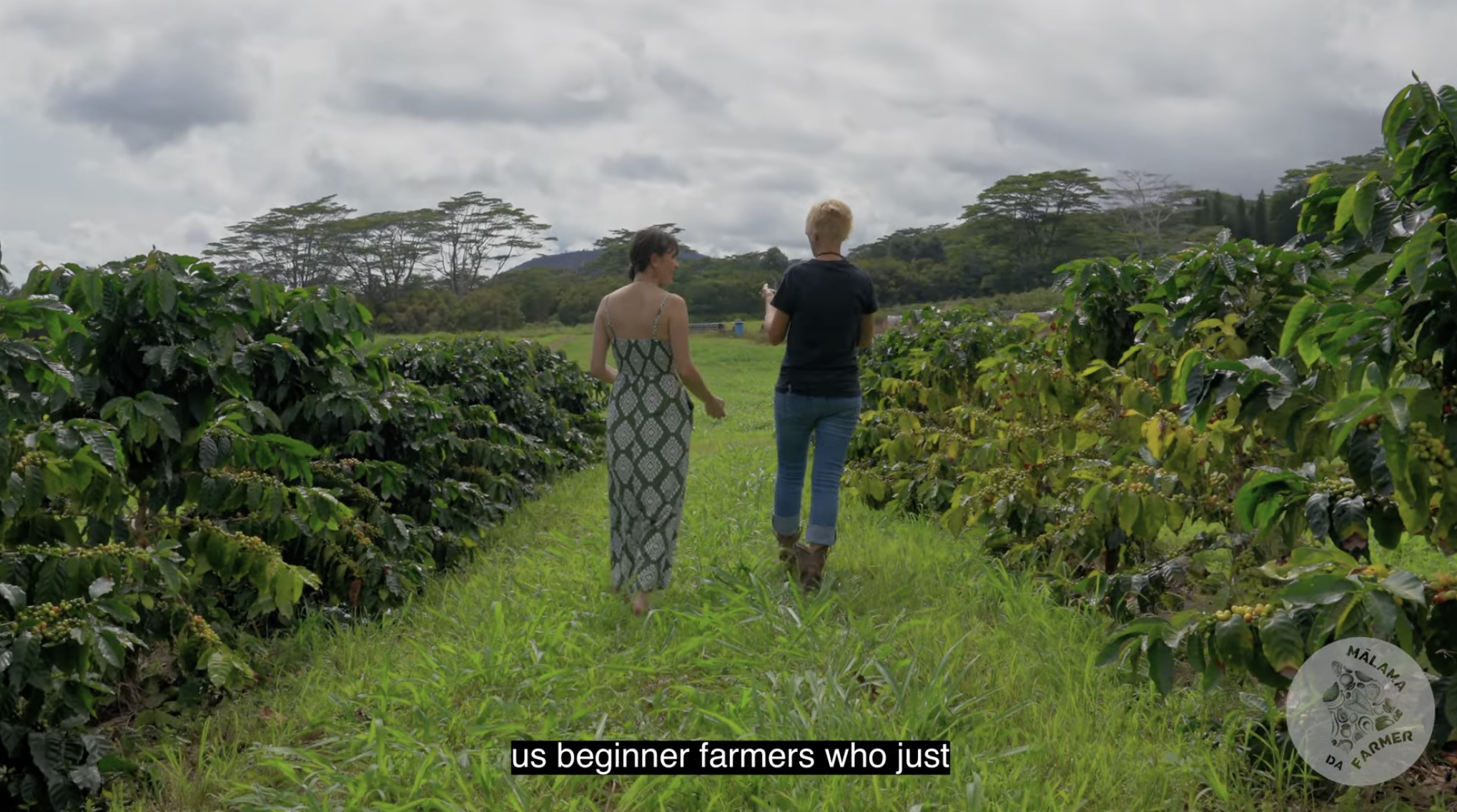 Mālama da Farmer Grantee: A Coffee Farm