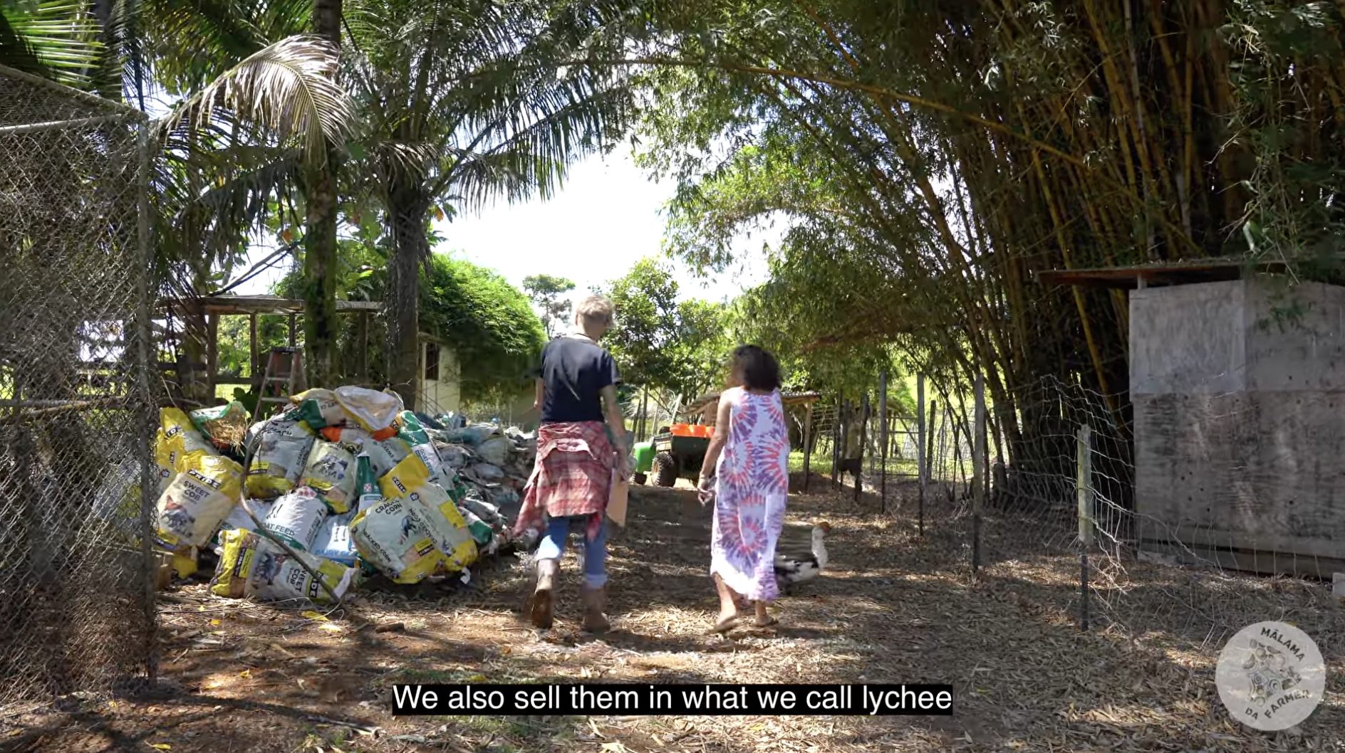 Mālama da Farmer Grantee: Peaceful Farms