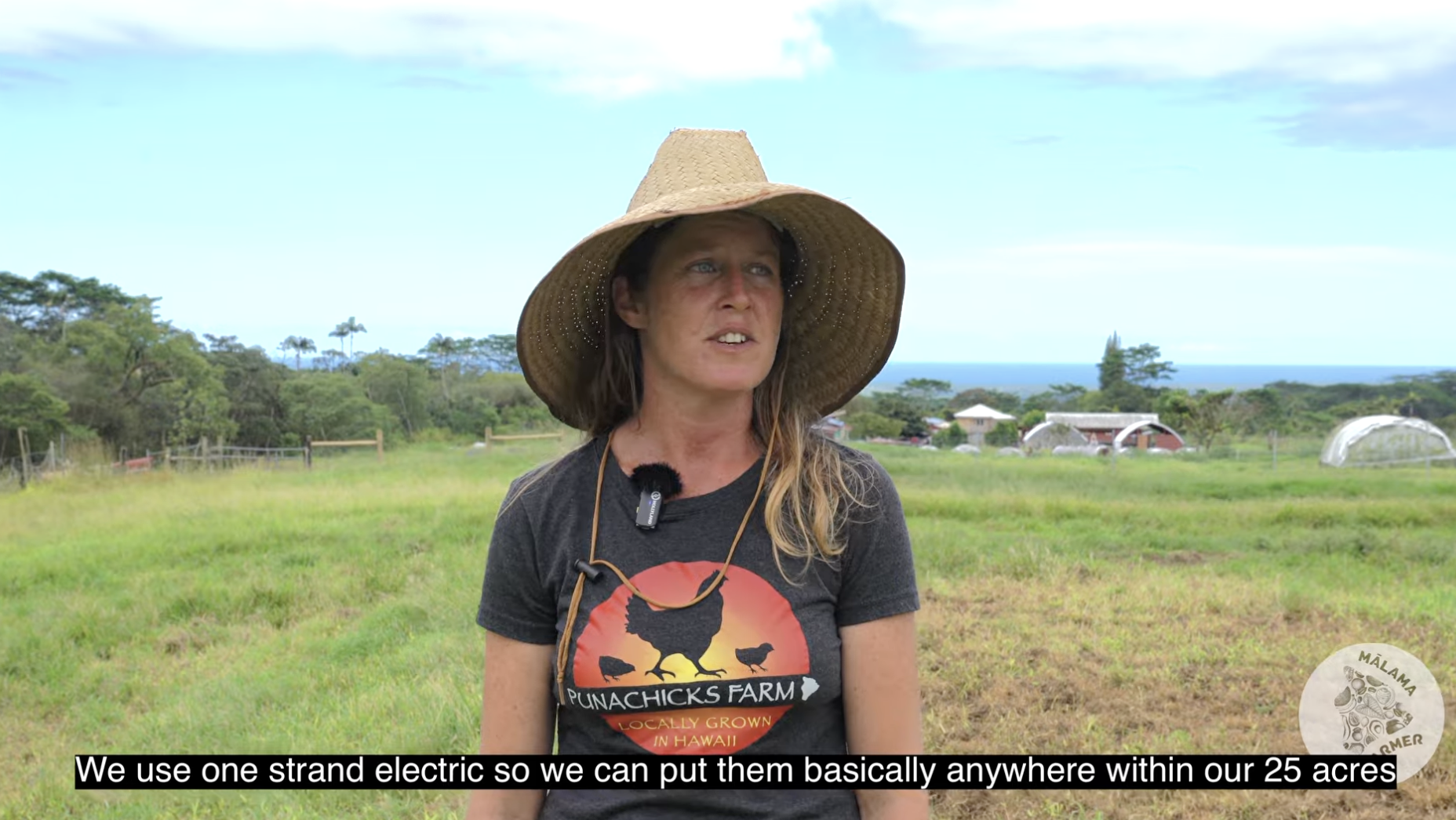 Mālama da Farmer Grantee: Puna Chicks