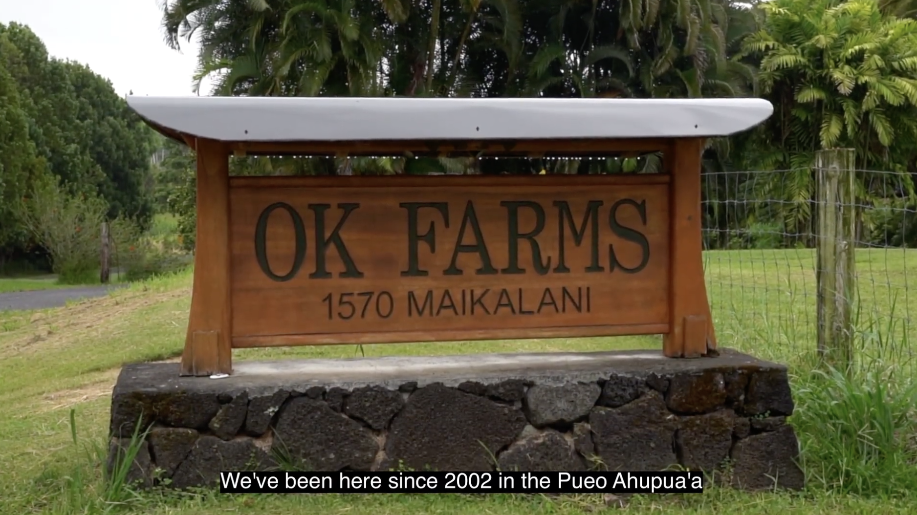 Mālama da Farmer Grantee: OK Farms