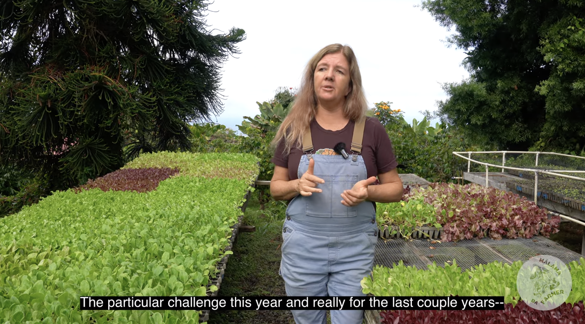 Mālama da Farmer Grantee: Ola Mahina Gardens at Kealaola Farms
