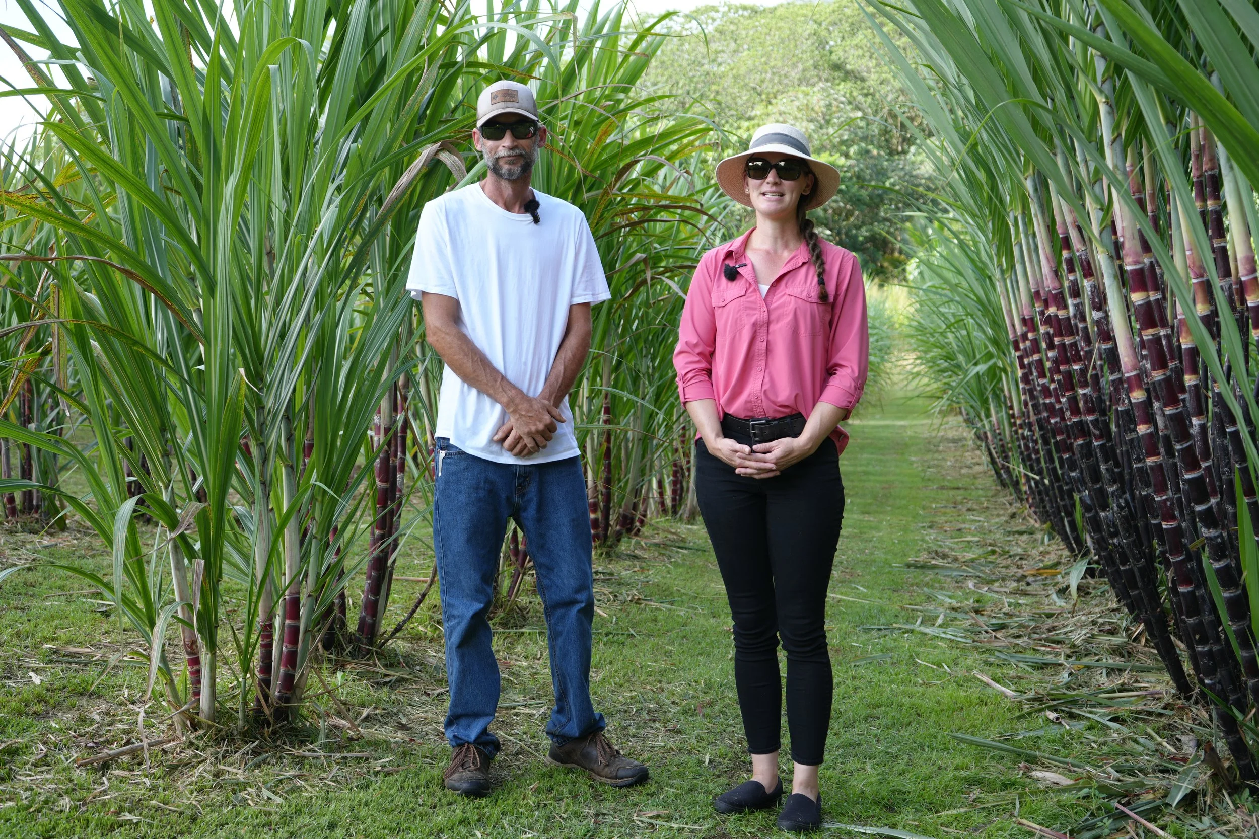 Aloha Spirits of Hawaiʻi