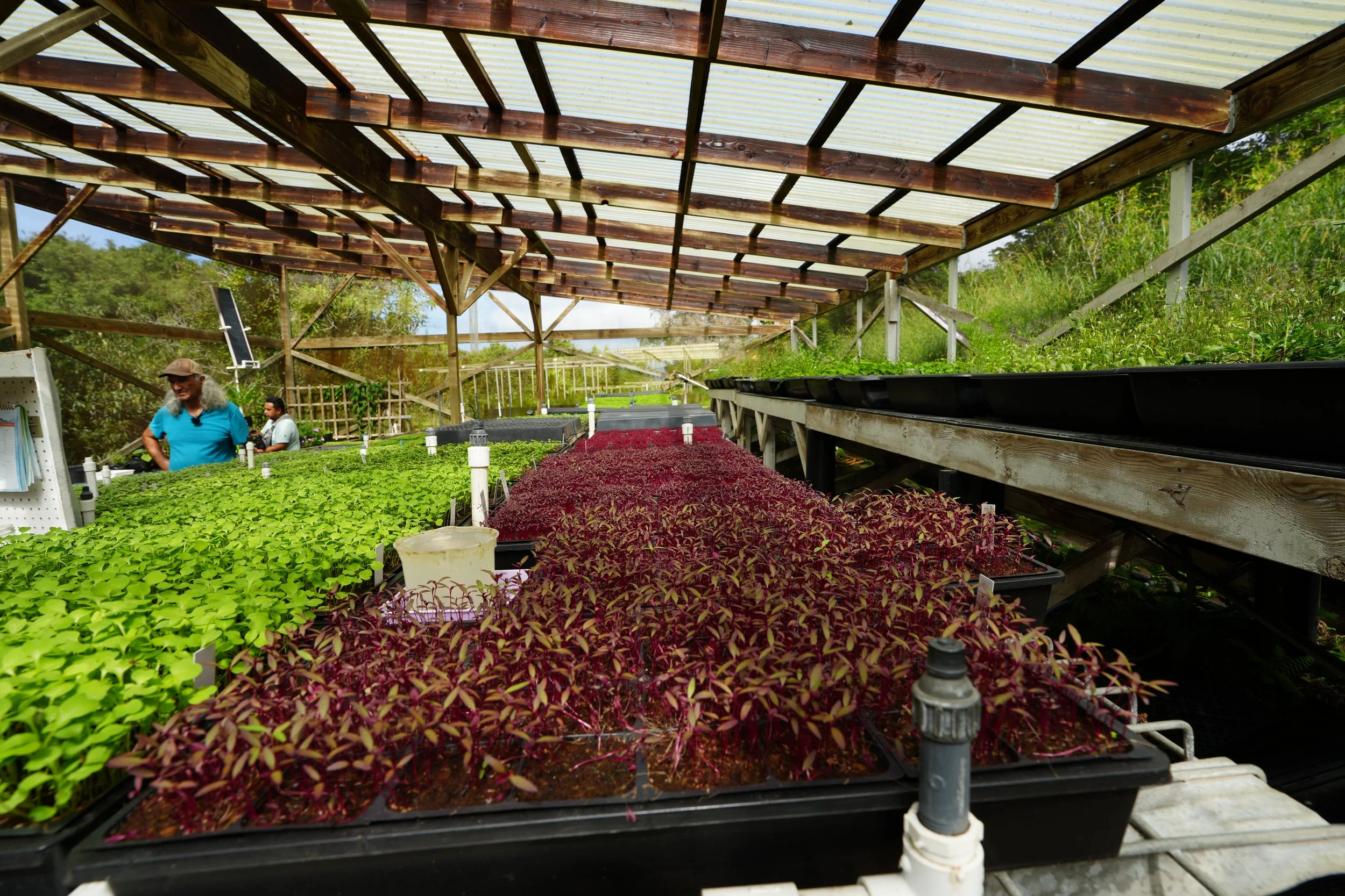 Protected Growing Space