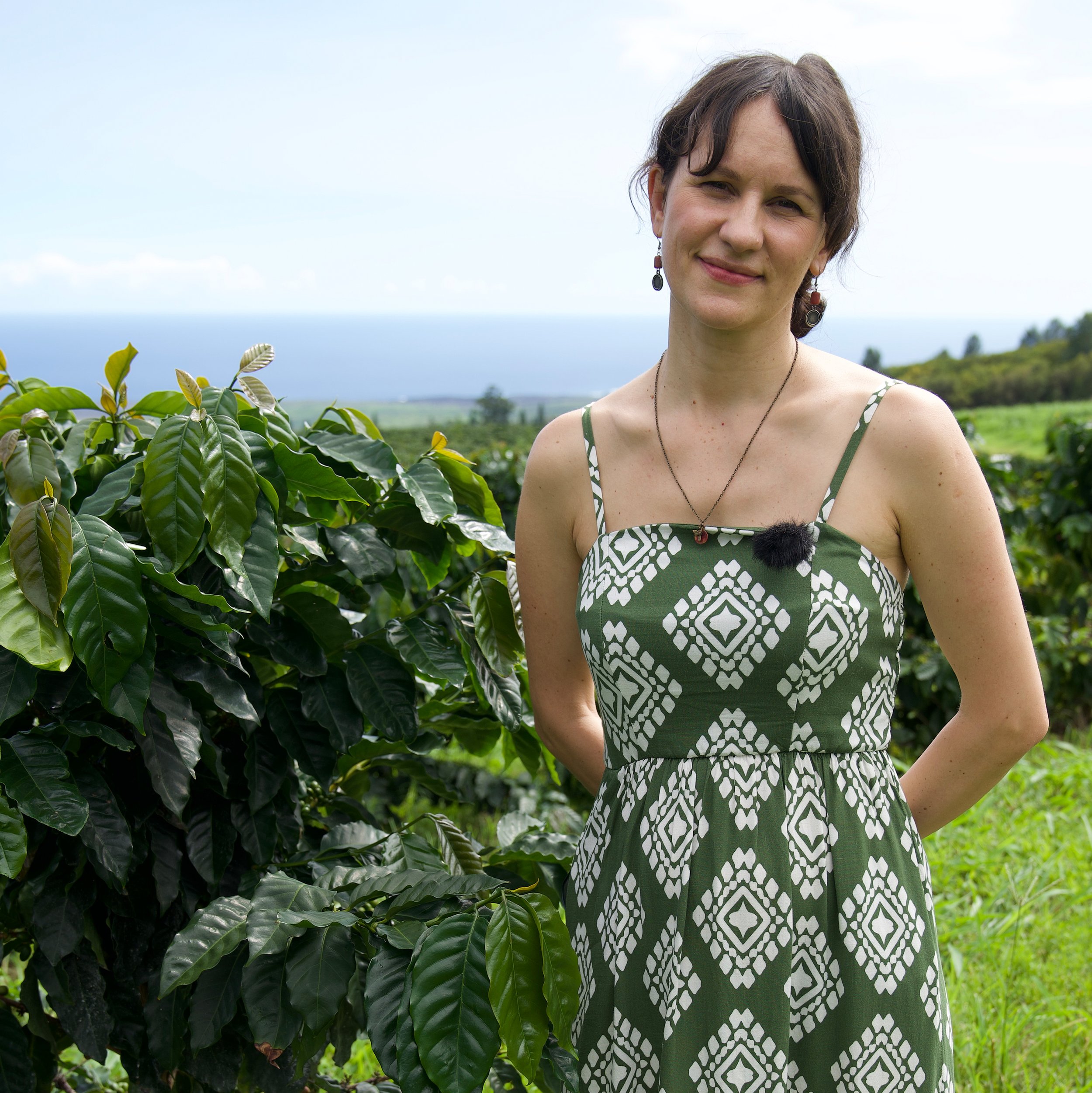 A Coffee Farm