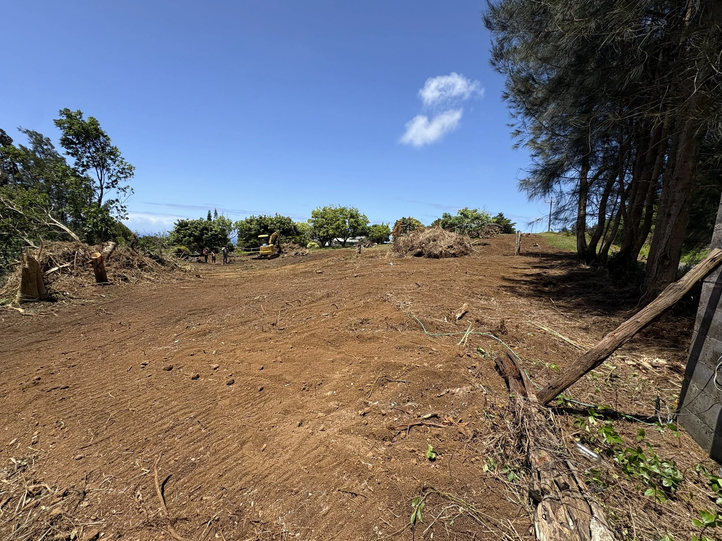 Land Preparation