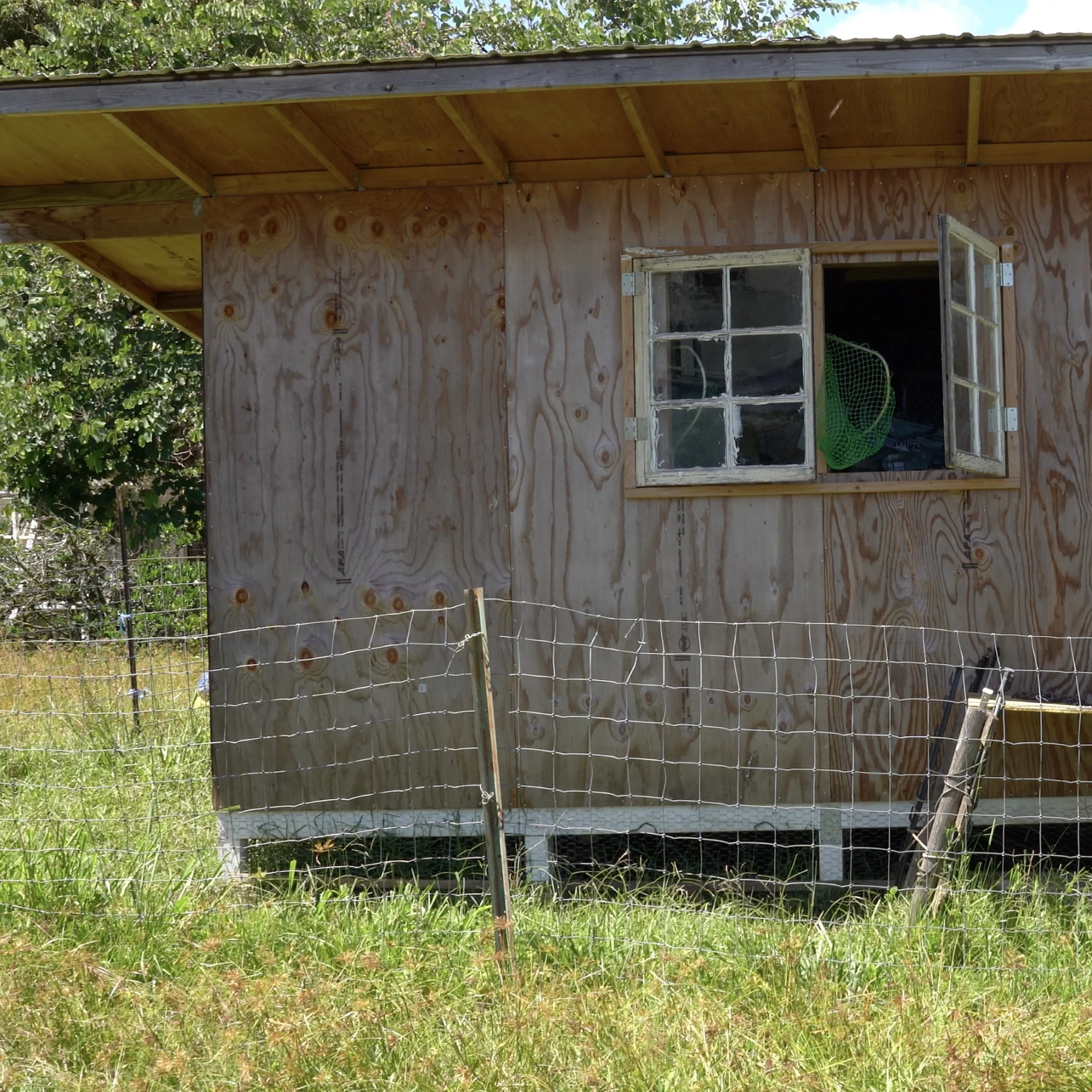 Livestock Medical Barn