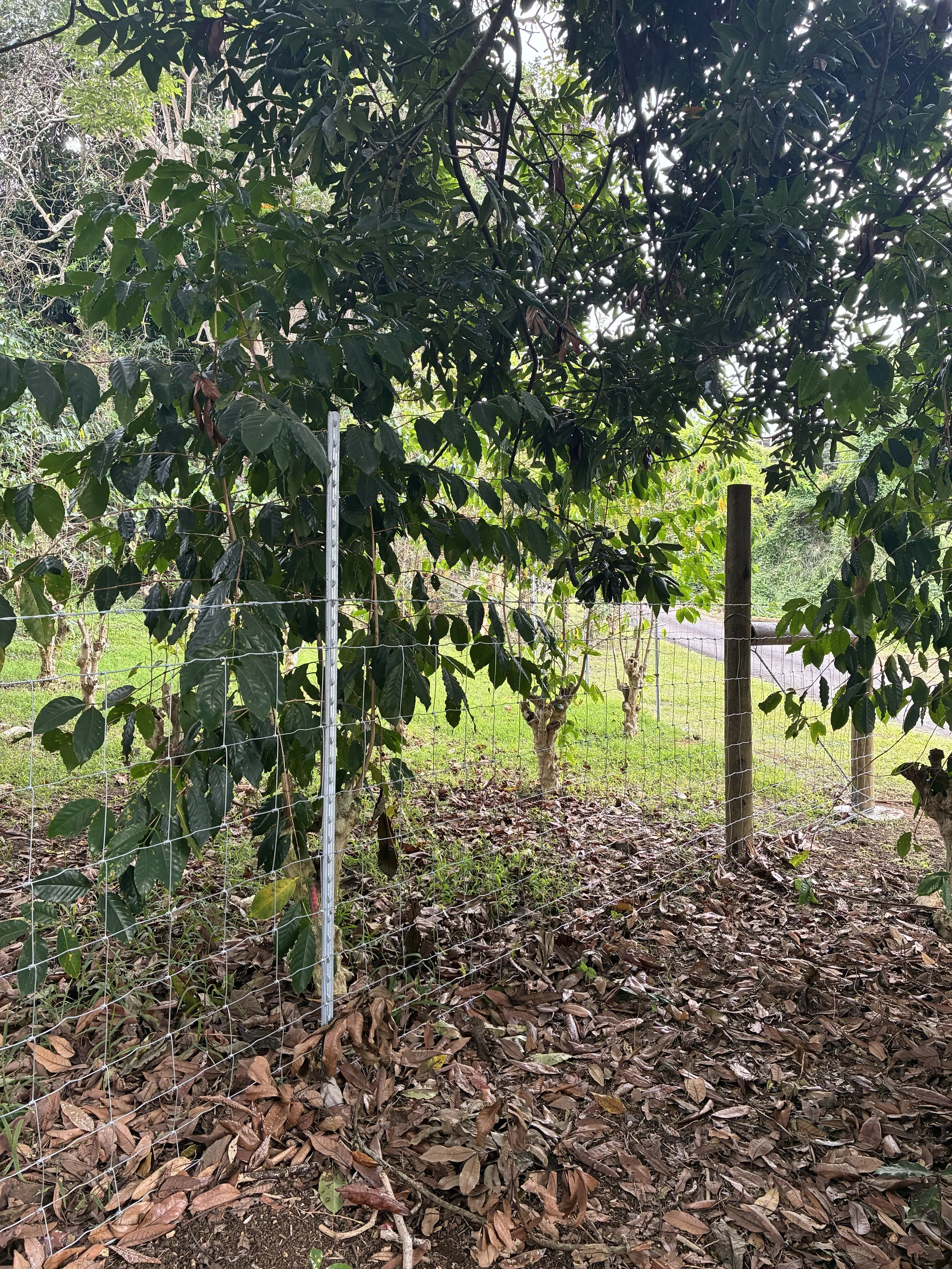Crop Protection