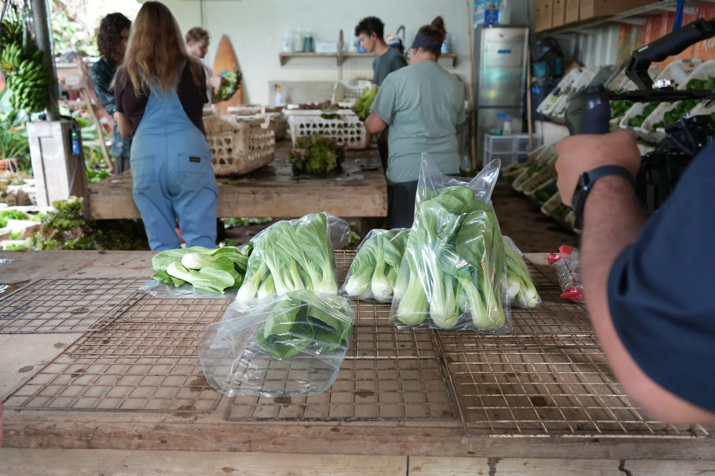Support for Organic Production
