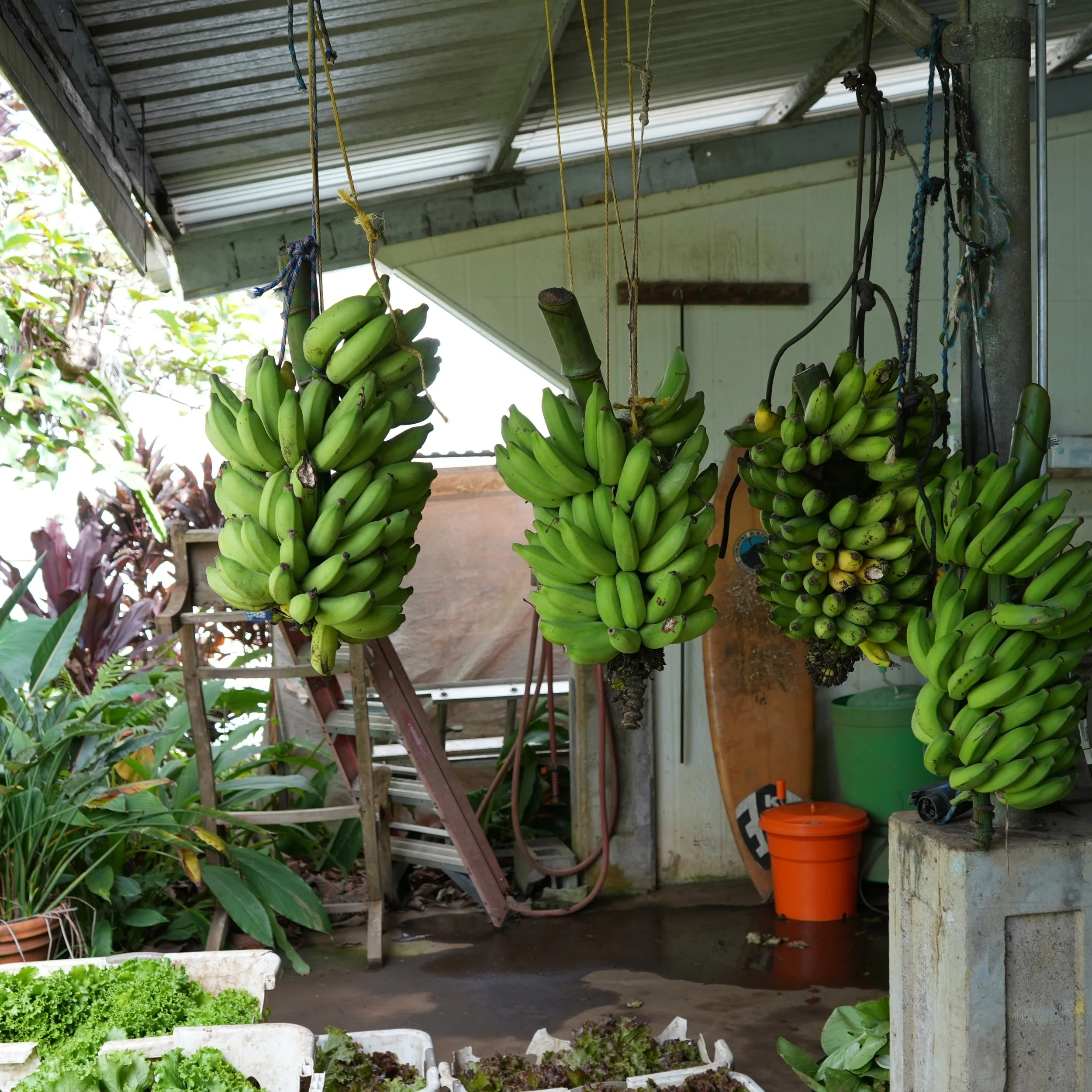 Strengthening Farm Operations