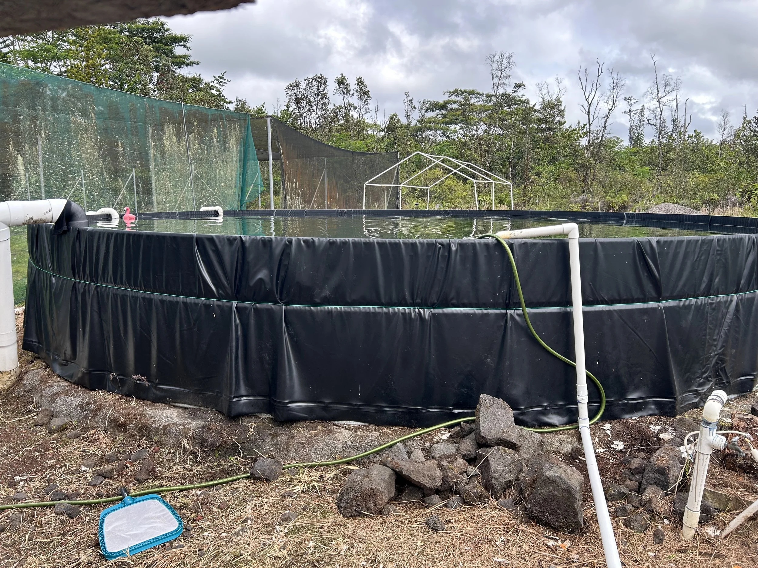 New water catchment system.