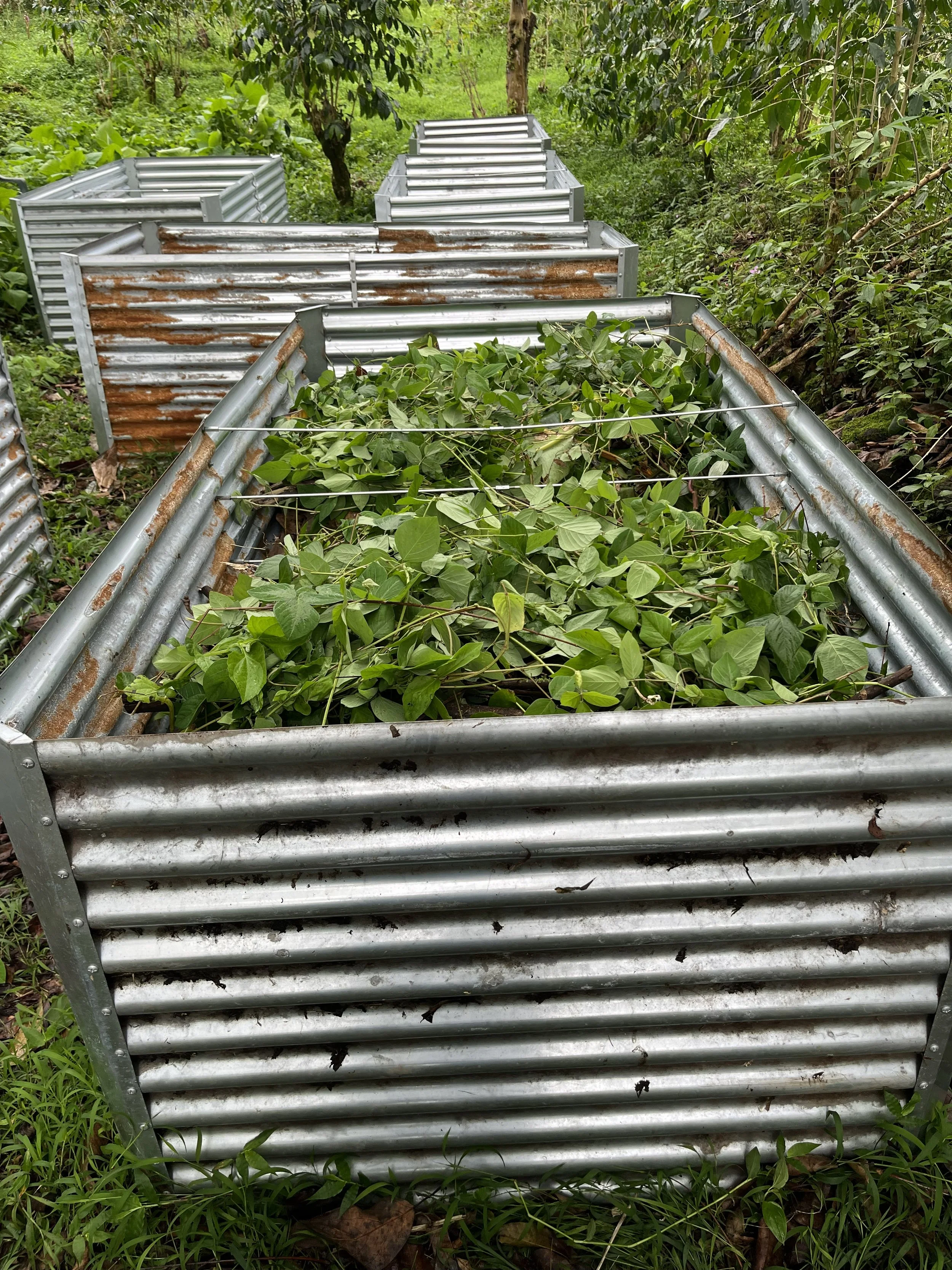Raised garden beds 