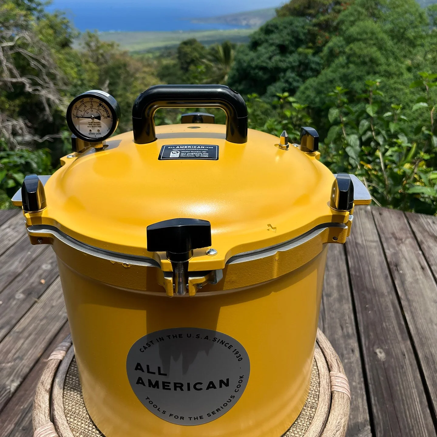 Pressure Cooker