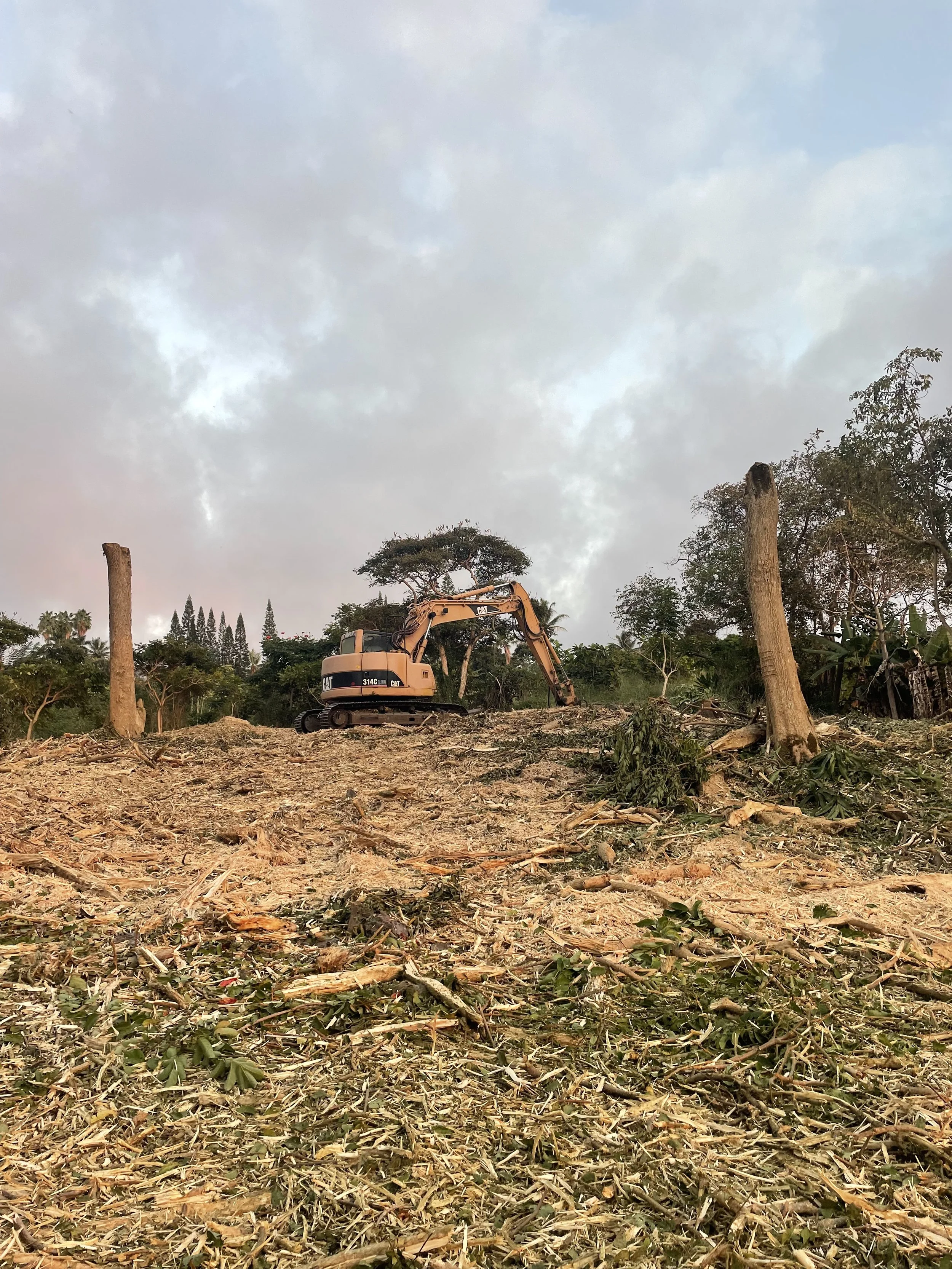 Land Clearing