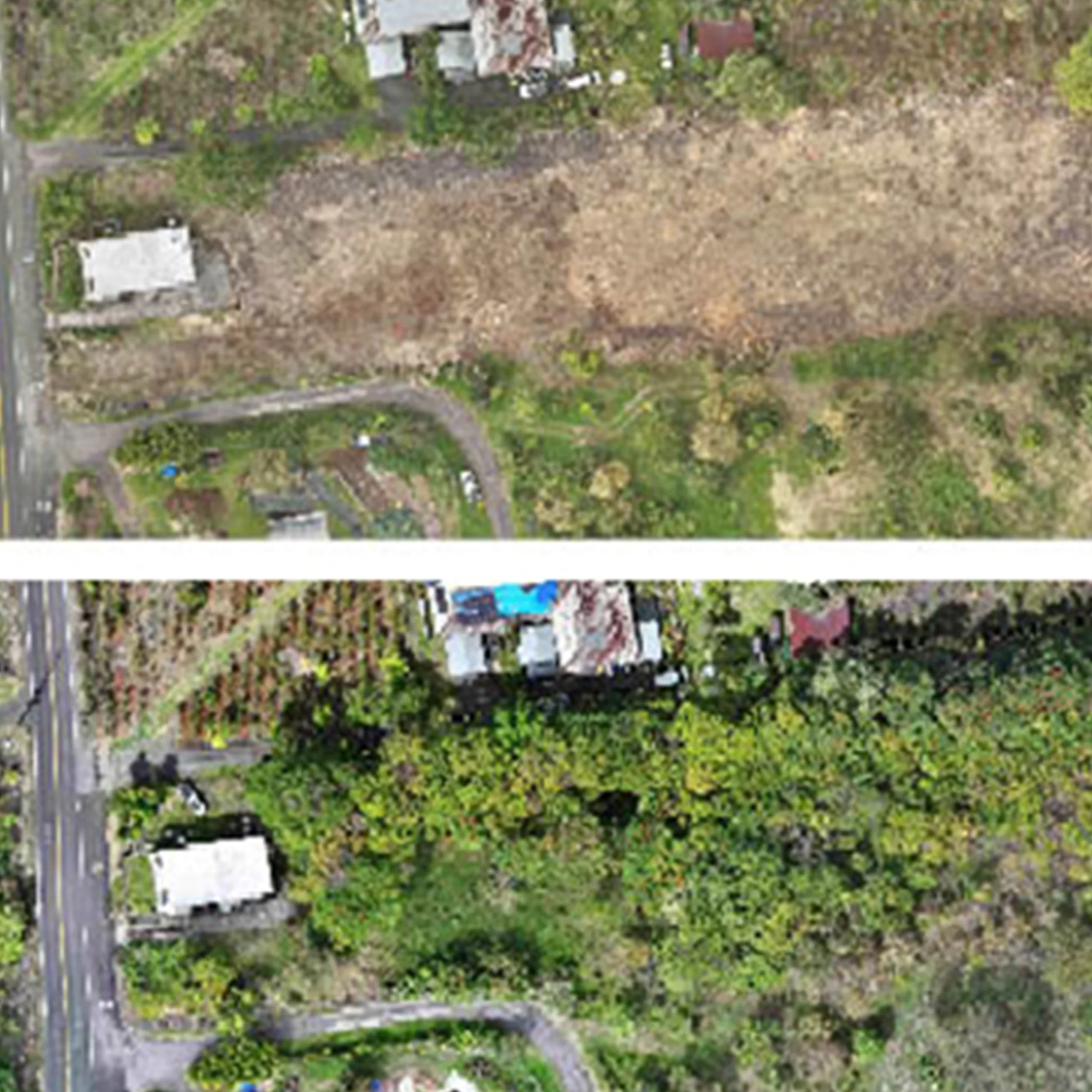 Before &amp; After Land Clearing