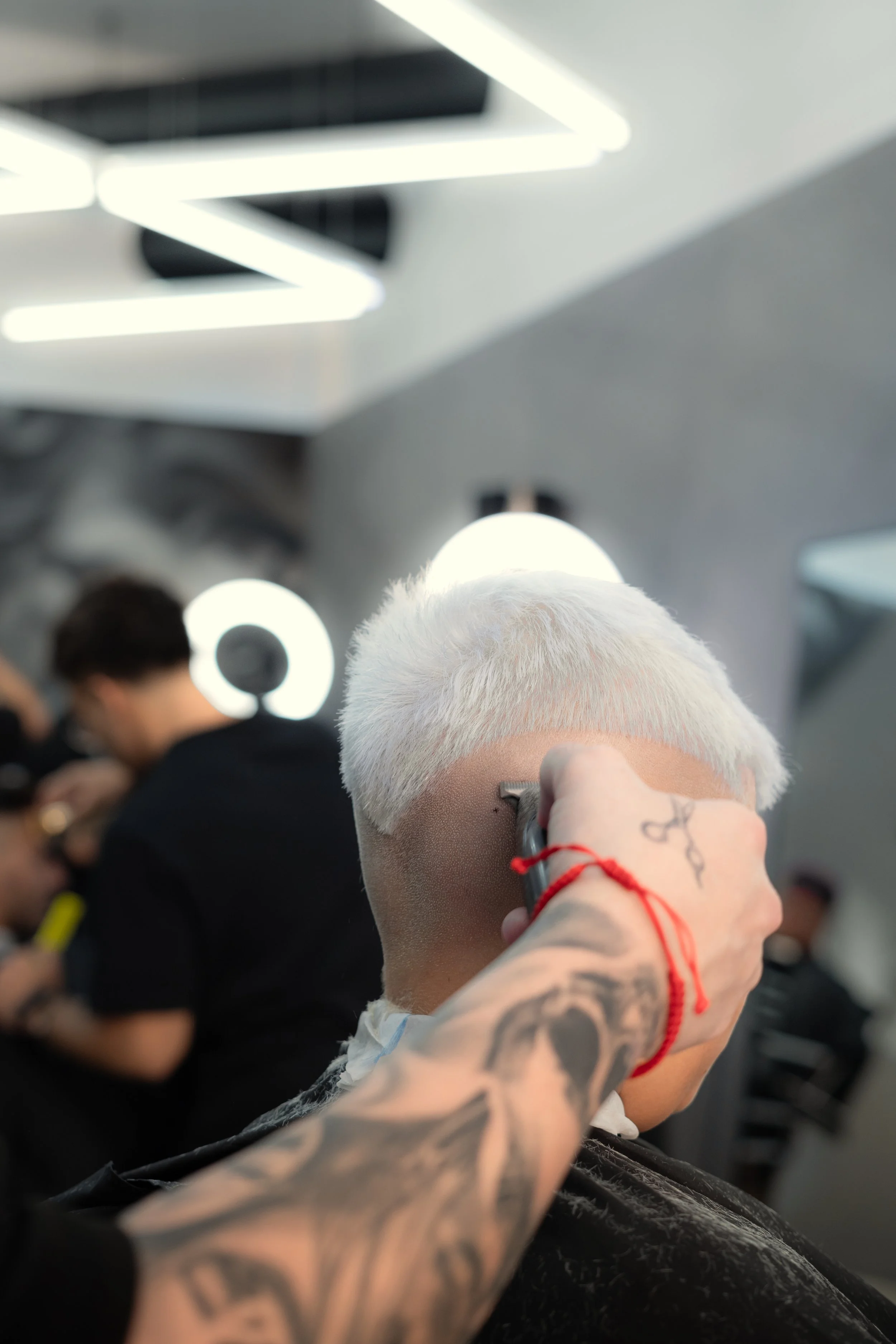 _A748601.jpg