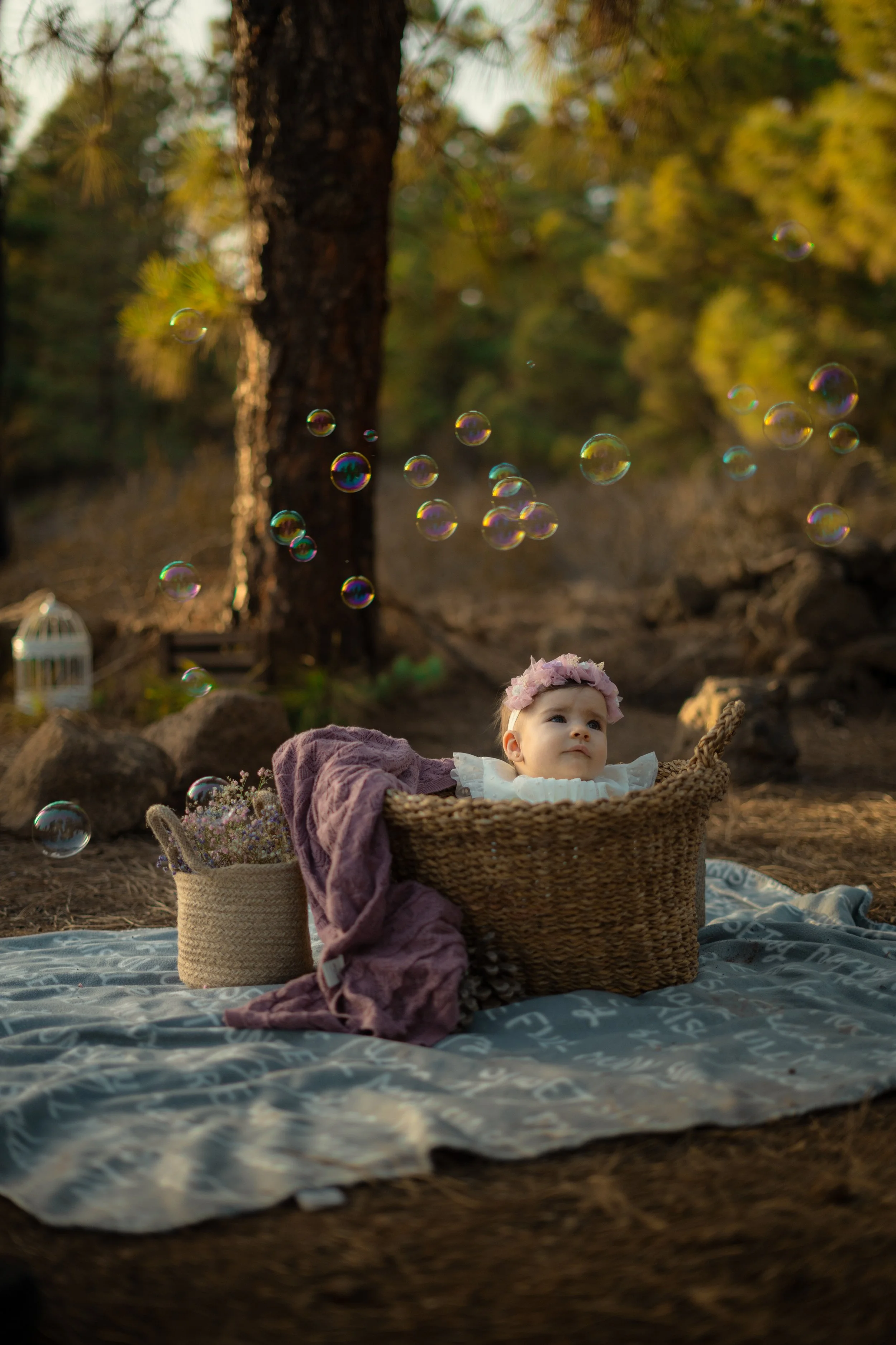 _A749007.jpg
