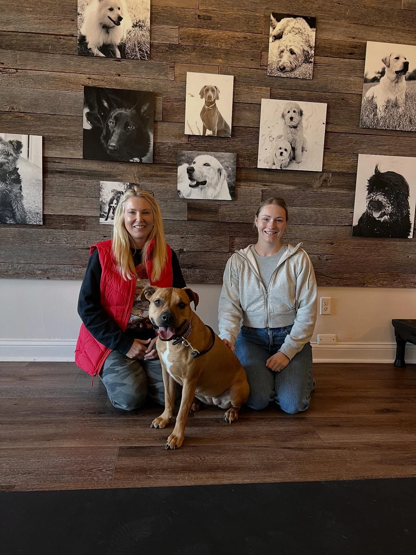 Congratulations Girl, you did it!! Ruby came to us as a behavior modification case, she is a rescue and uncertain of and reactive towards men among other things. This girl has come so far! We are so proud of her!  We will continue to work with her fa