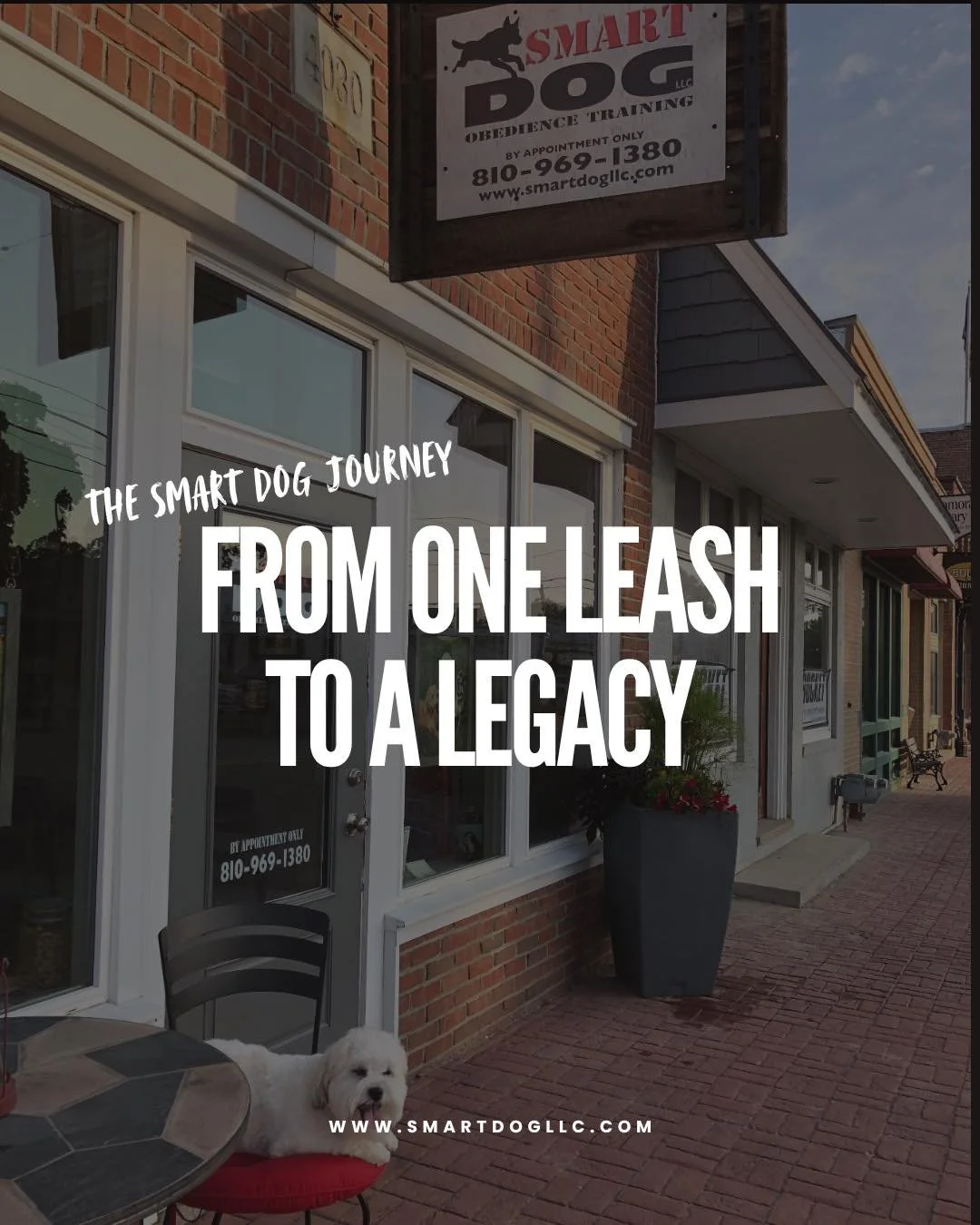 What began in 2013 with Lea DiBella training dogs out of her home has grown into Southeastern Michigan's most trusted dog training community, complete with a dedicated Training Center, countryside property, loyal client family, and a reputation built