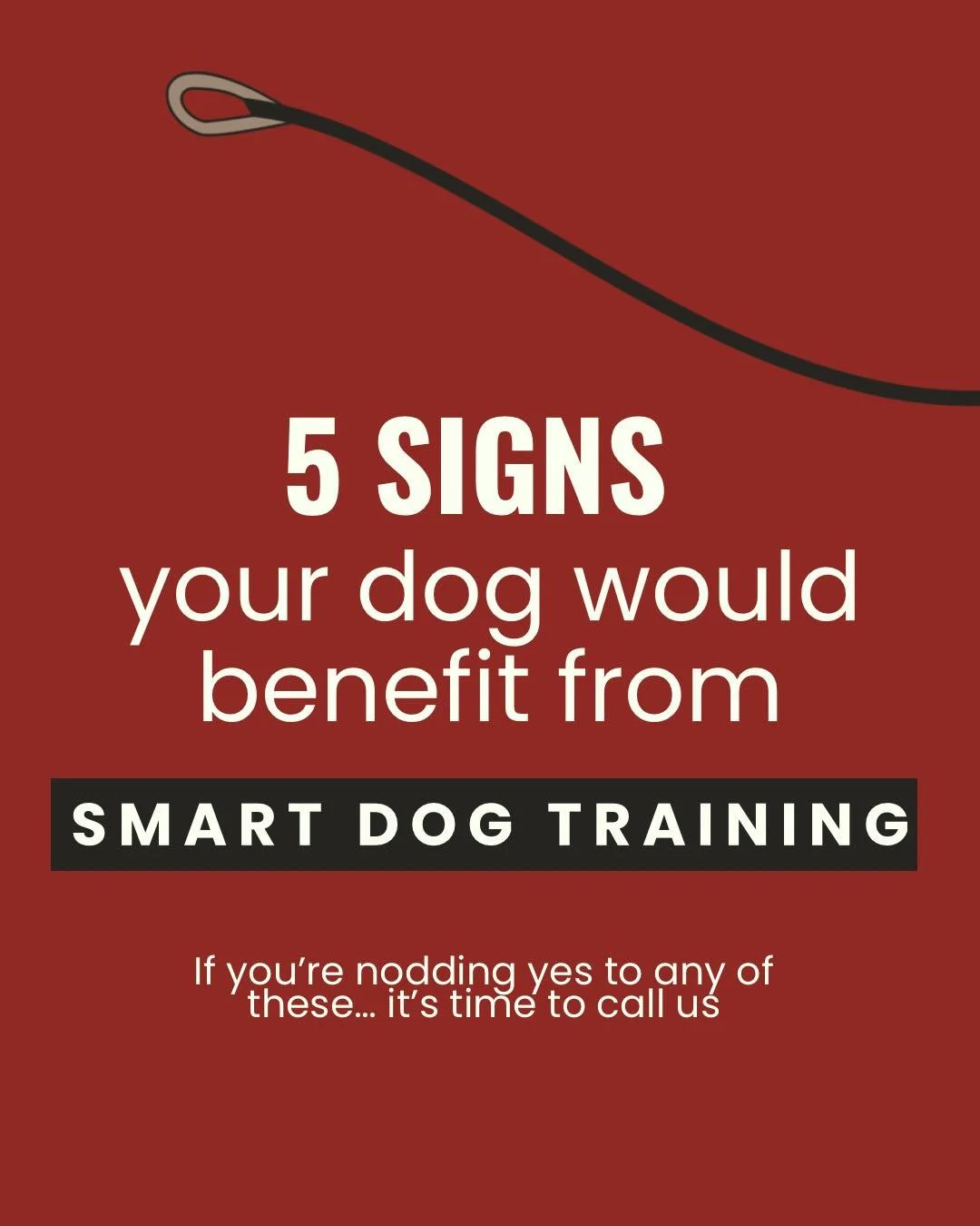 Think your dog might need training, but not sure where to start? 🐕‍🦺
 Swipe through to see 5 real signs your dog could benefit from Smart Dog training.
Whether you’re dealing with reactivity, leash pulling, or just want a calmer, more c