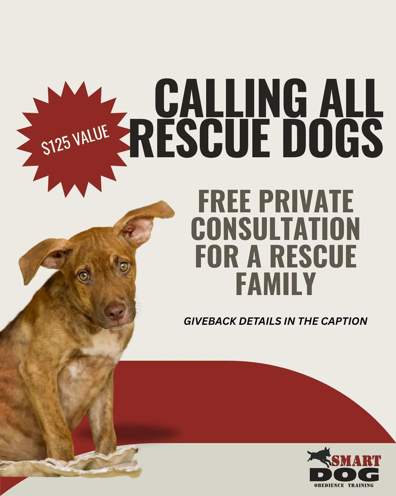 RESCUE DOG OWNERS, SMART DOG IS HERE FOR YOU 👇🏼❤️

Each month, Smart Dog will be selecting one rescue dog to receive a Private Rescue Consultation,  a $125 service, completely free of charge.

If your dog is struggling with challenging behaviors, o
