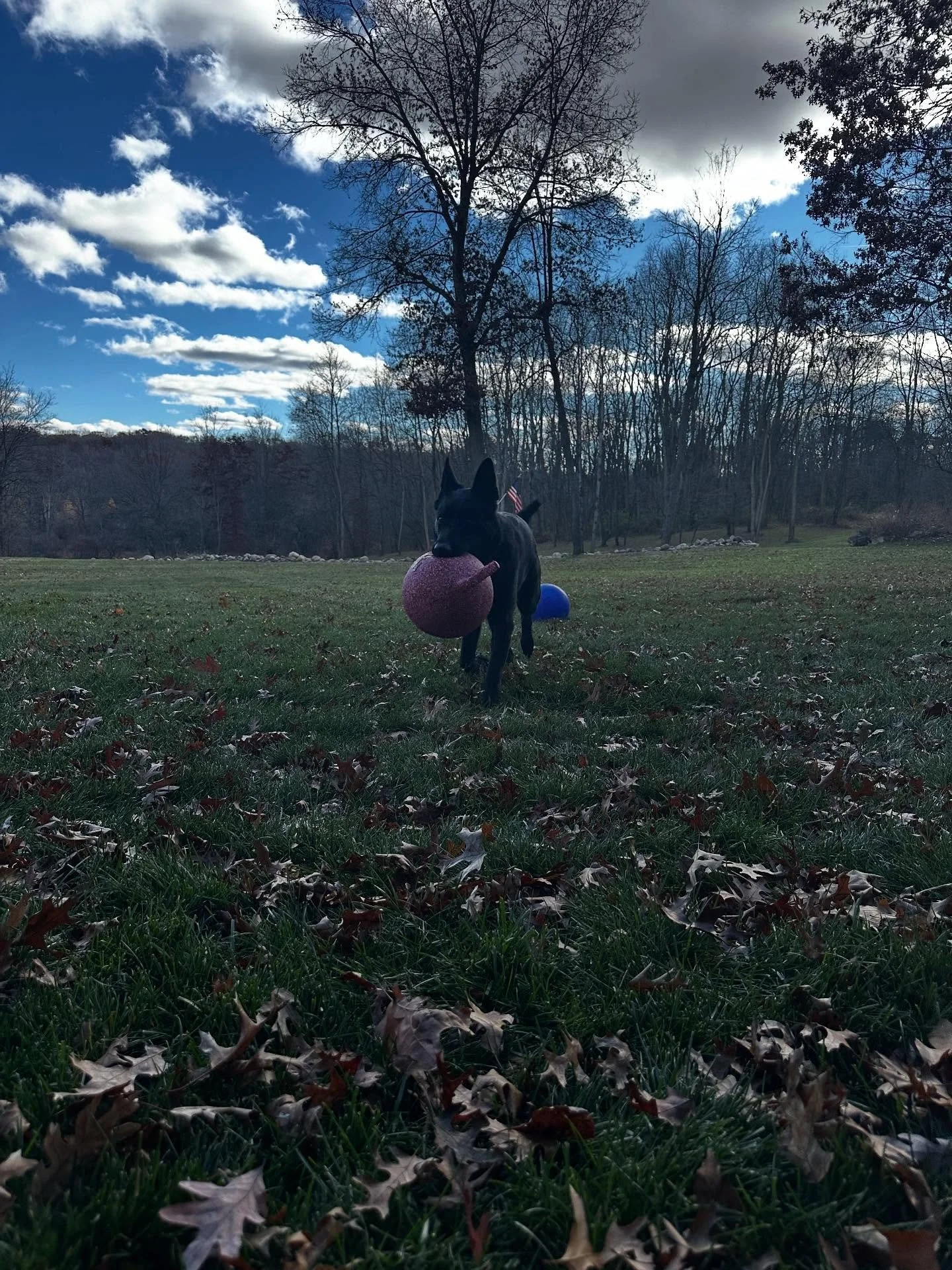 Hangin with Jax❤️