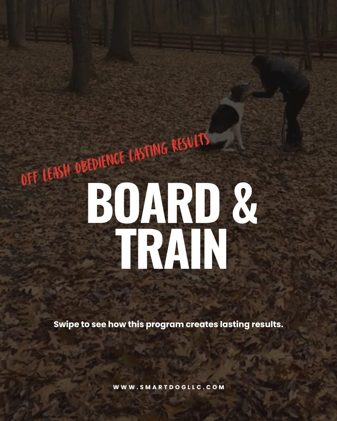 If you&rsquo;re ready for real results with your new puppy or an older dog that needs more structure, our six-week Board &amp; Train program delivers lasting change.

This is full-immersion training - your dog lives and works with professionals every