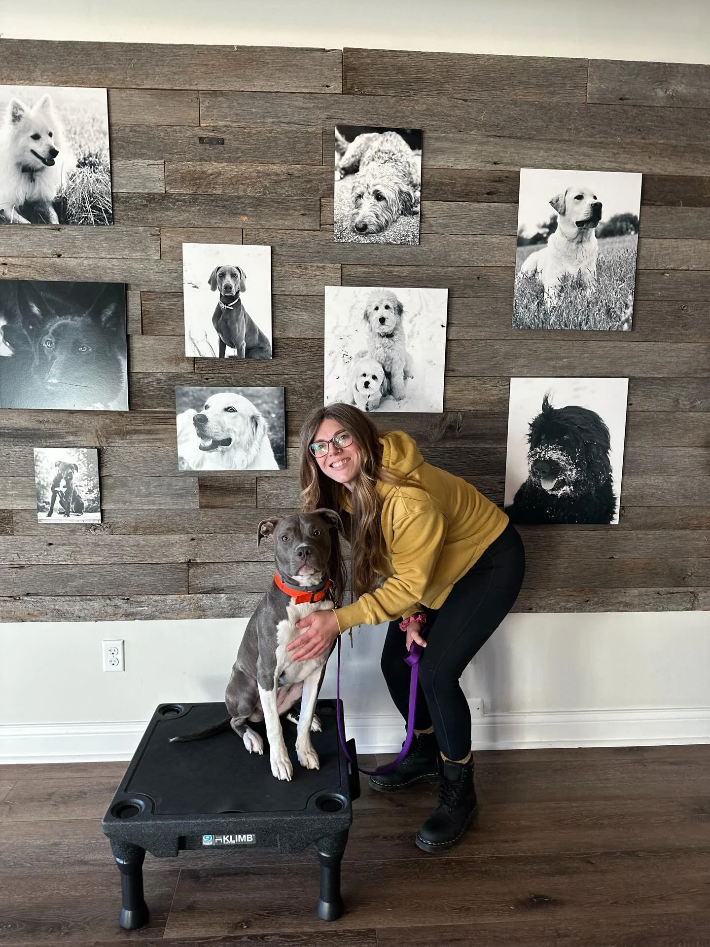 It is with a happy heart that I say congratulations to Ashlyn &amp; her Mom on completing their Private Beginner series with me❤️ The story is Ash was a rescue, once adopted from the rescue she was fearful, shutdown, had bitten and had some health is